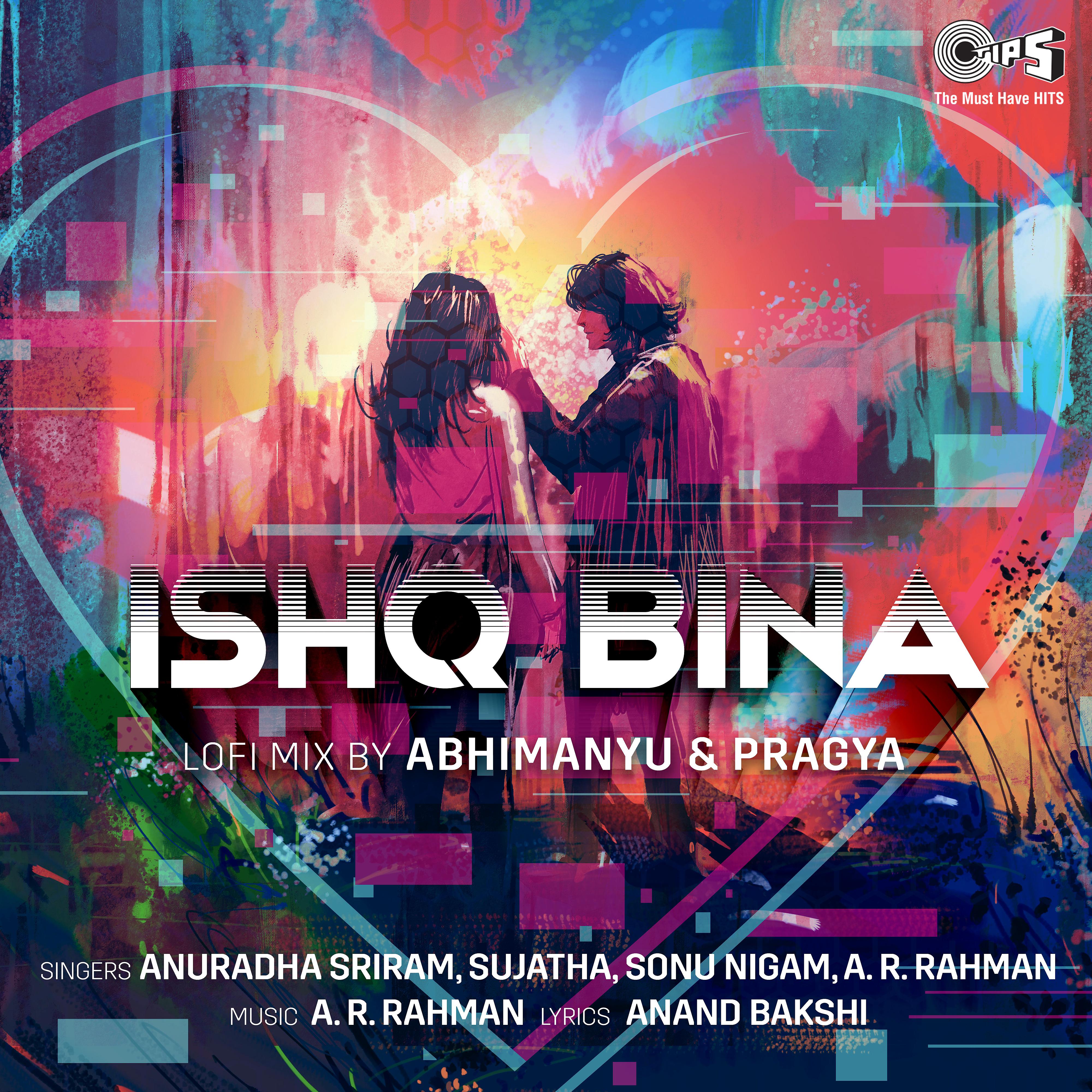 Постер альбома Ishq Bina (Lofi Mix)