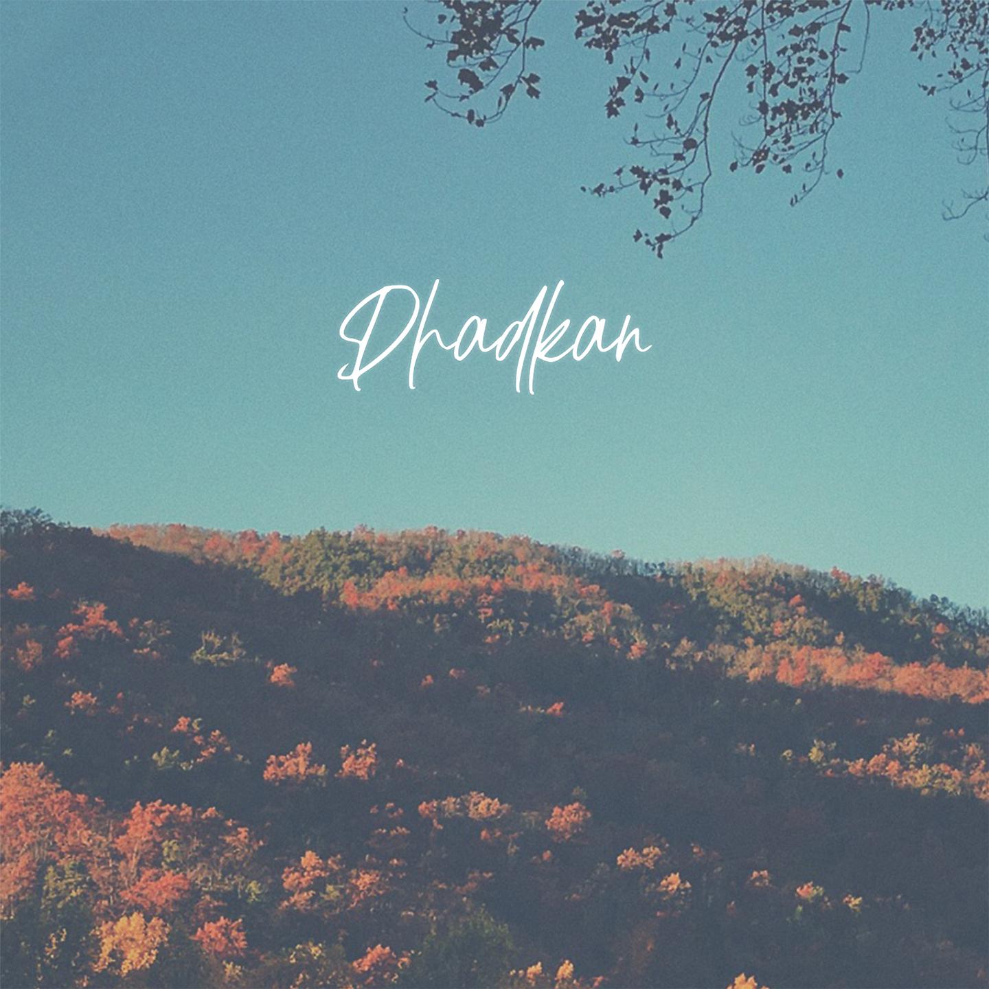 Постер альбома Dhadkan