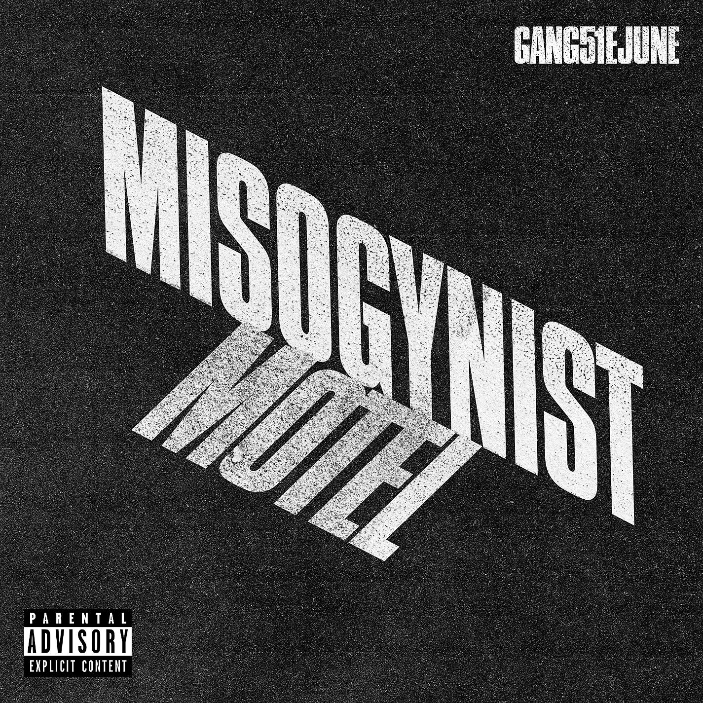 Постер альбома Misogynist Motel
