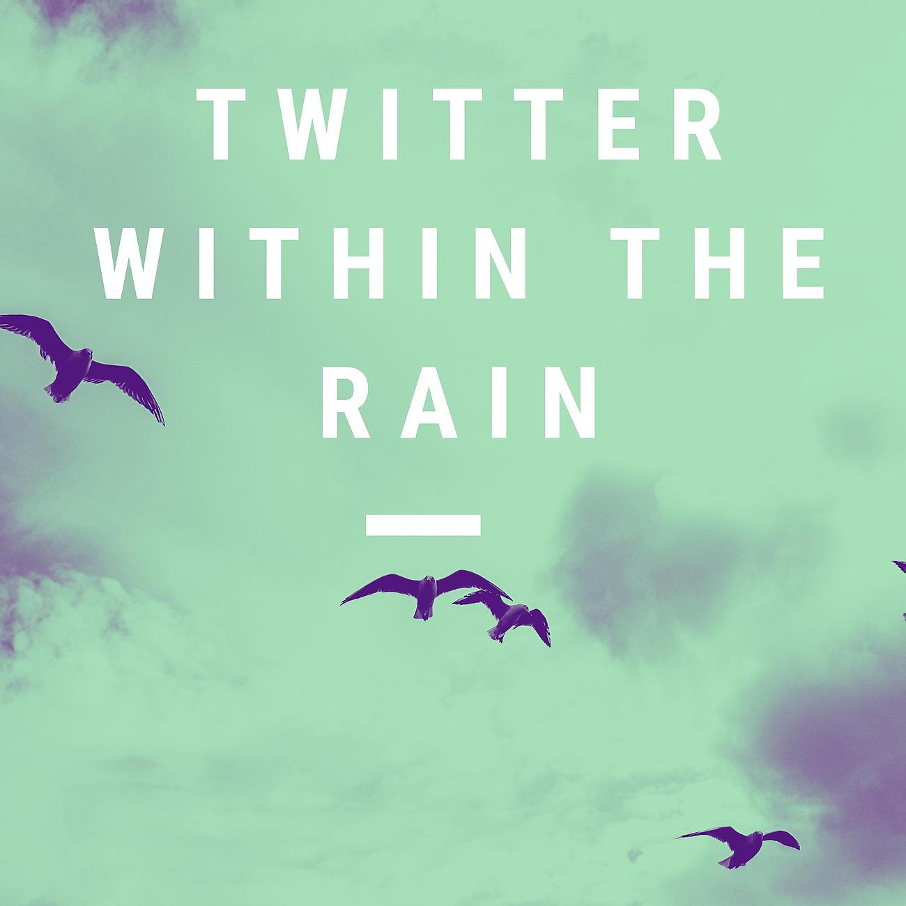 Постер альбома Twitter Within The Rain