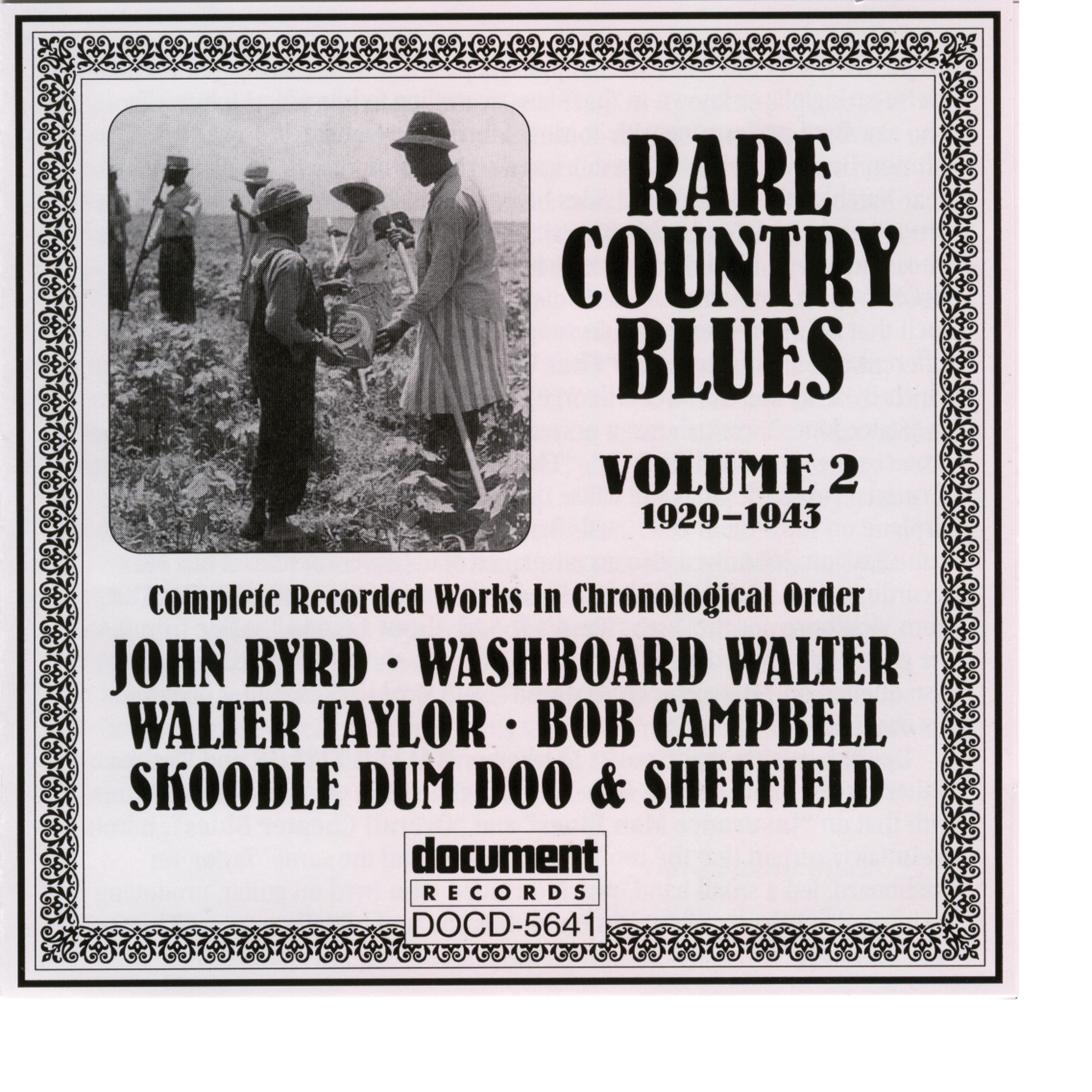 Постер альбома Rare Country Blues Vol. 2 (1929-1943)