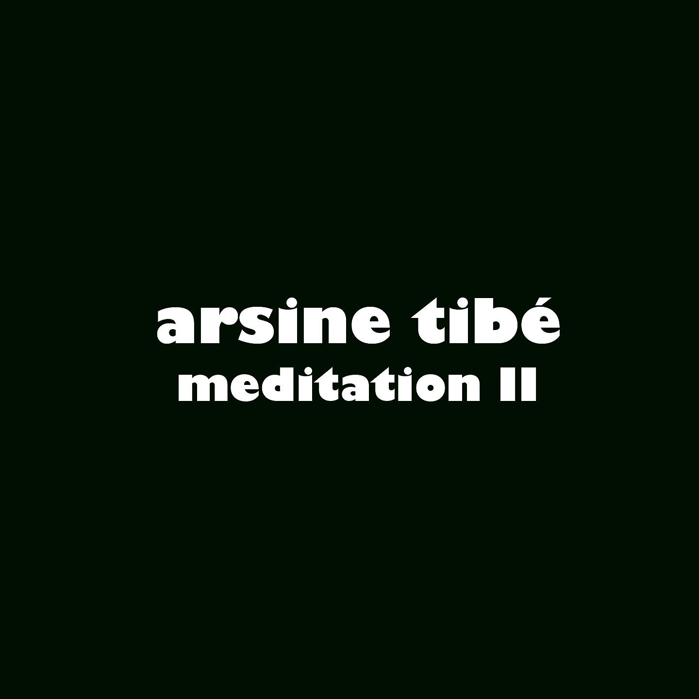 Постер альбома Meditation II