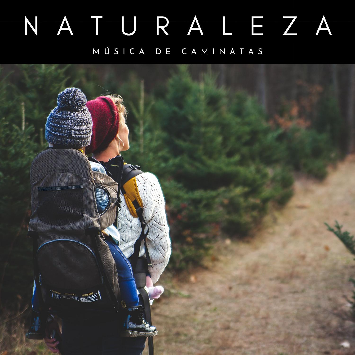 Постер альбома Sonidos De La Naturaleza: Música De Caminatas