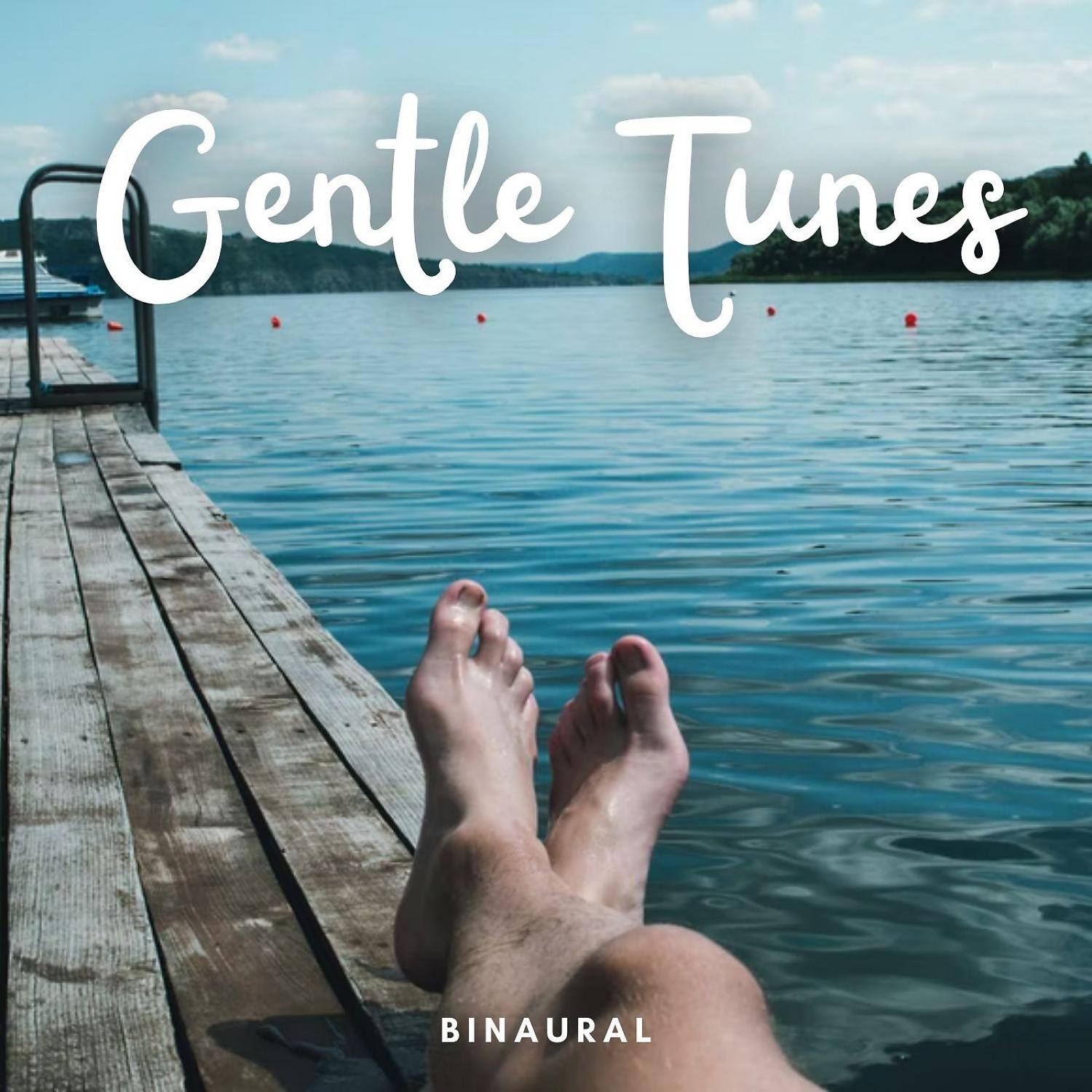 Постер альбома Binaural: Gentle Tunes