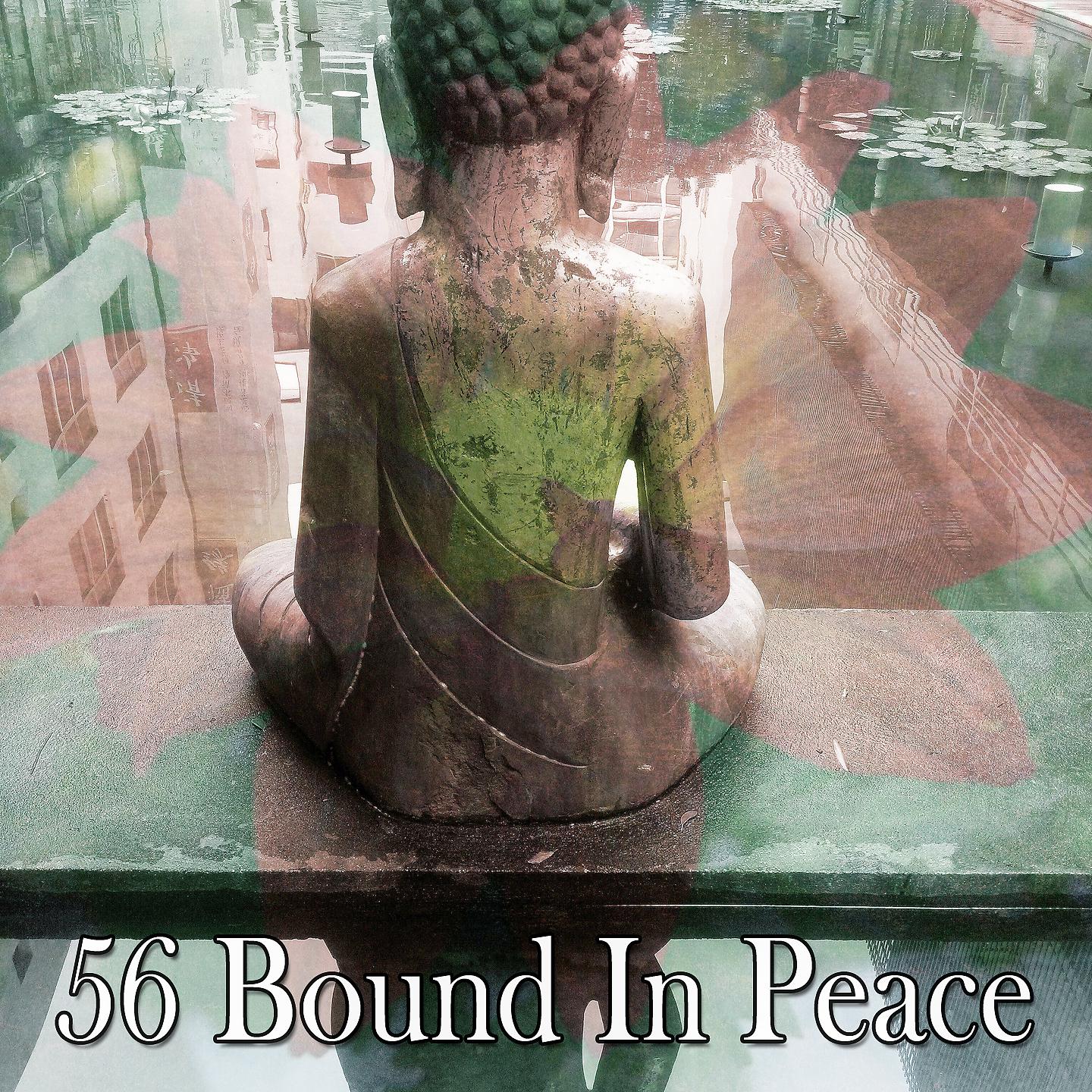 Постер альбома 56 Связанные миром
