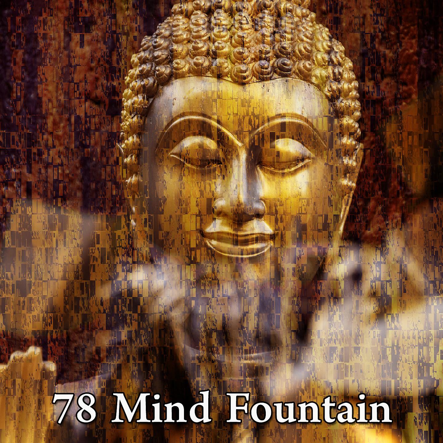 Постер альбома 78 Mind Fountain