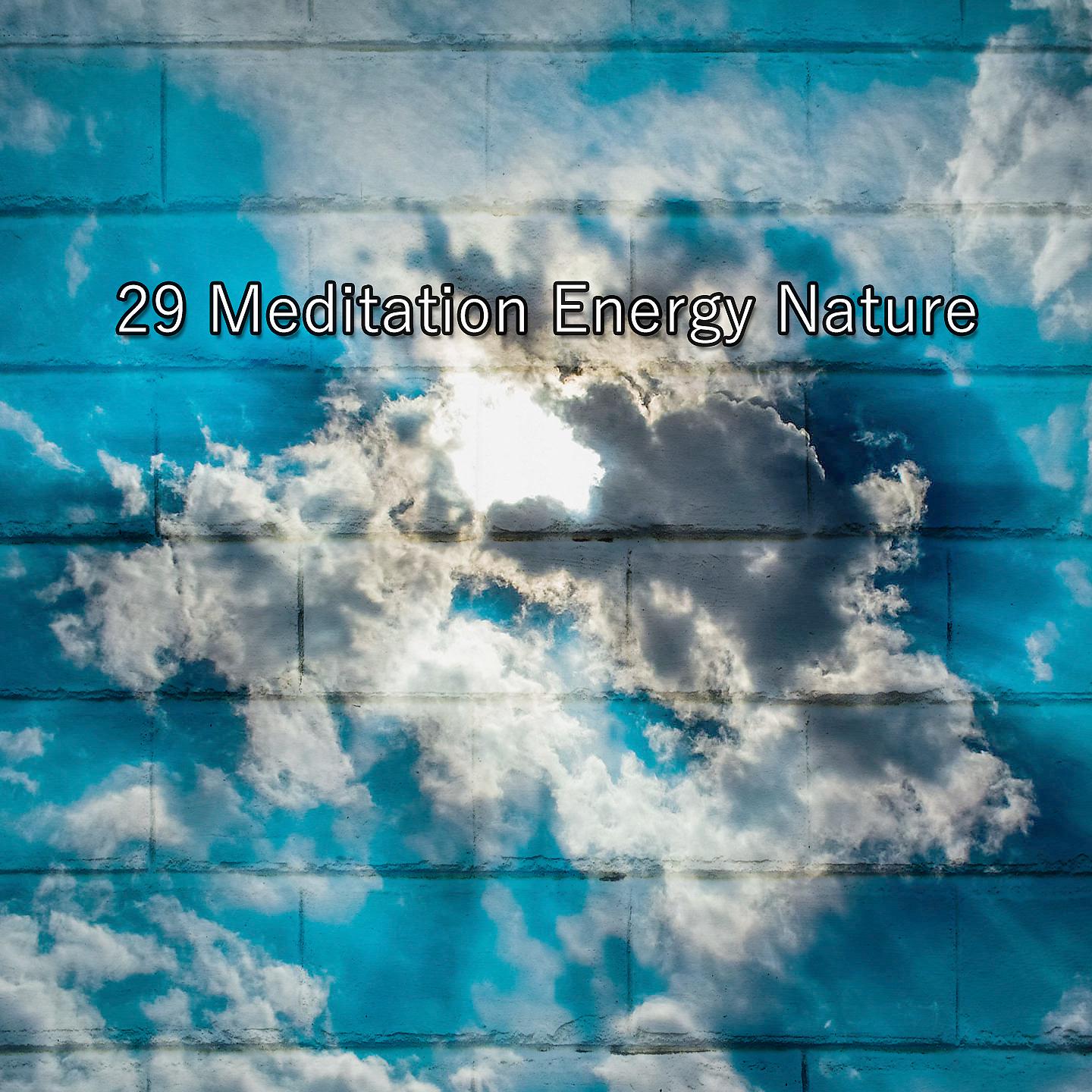 Постер альбома 29 Медитация Энергия Природа