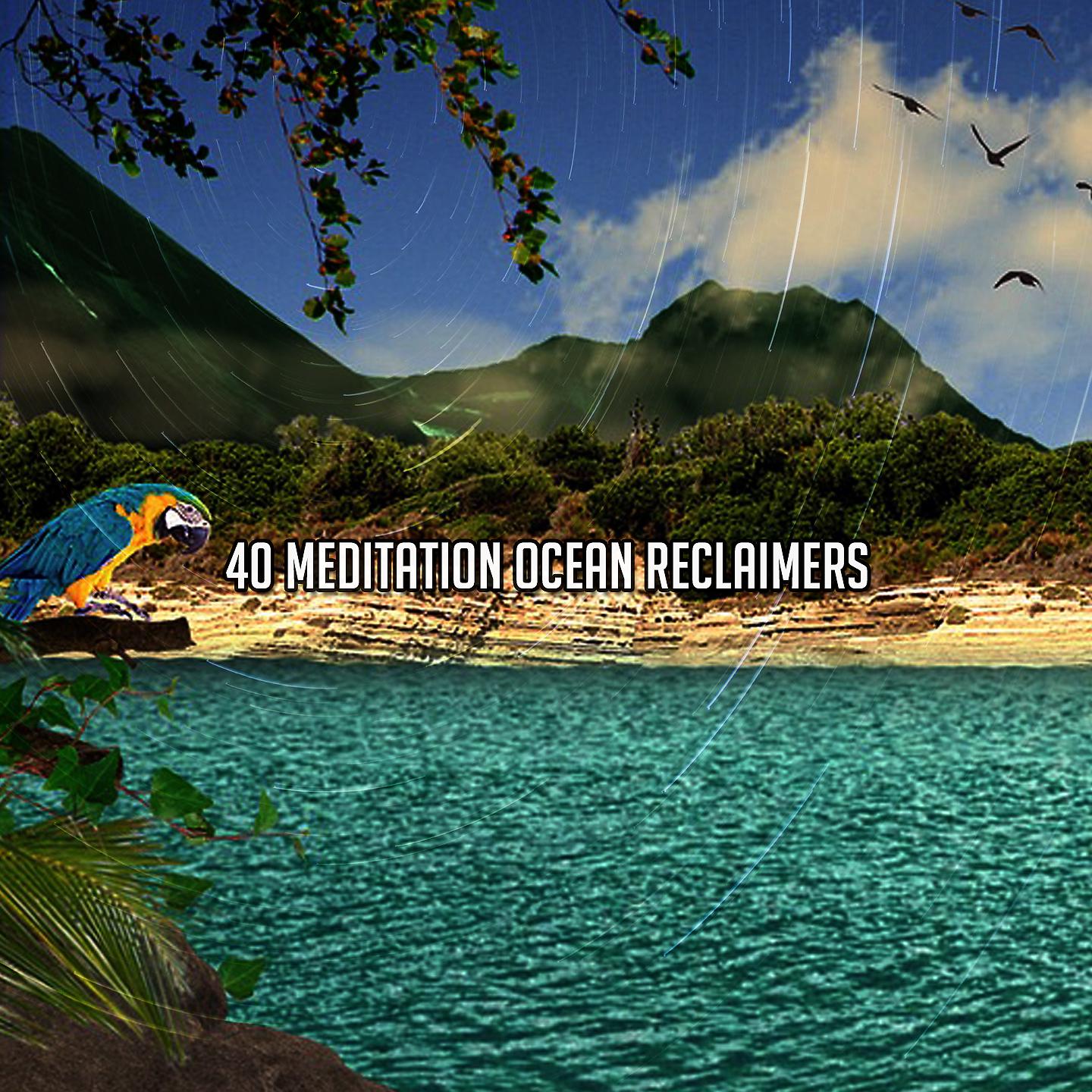 Постер альбома 40 медитаций для восстановления океана