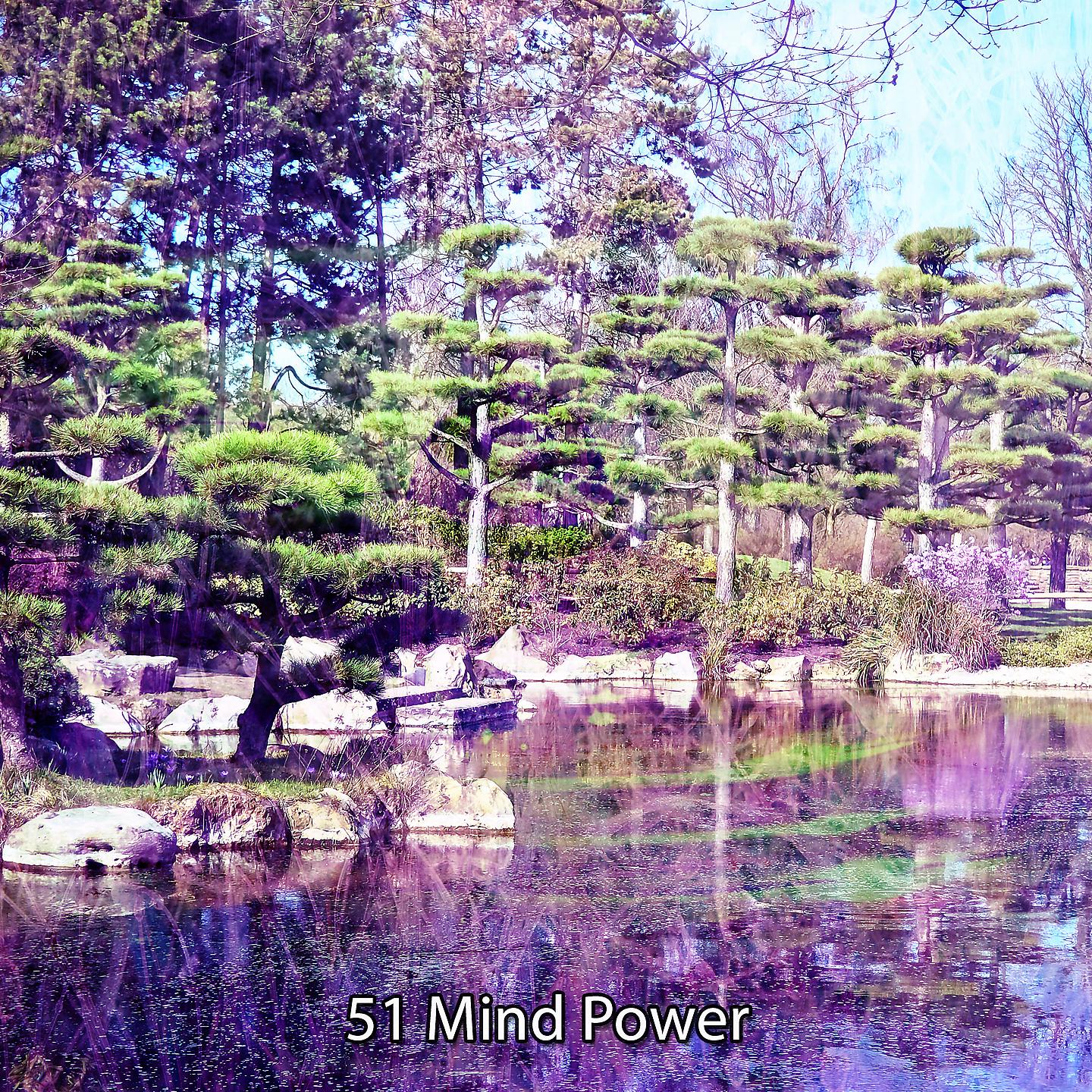 Постер альбома 51 Mind Power