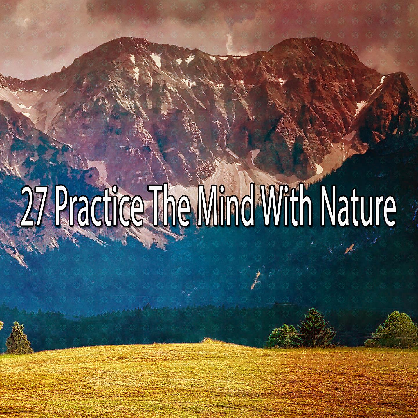 Постер альбома 27 Практикуйте разум с природой