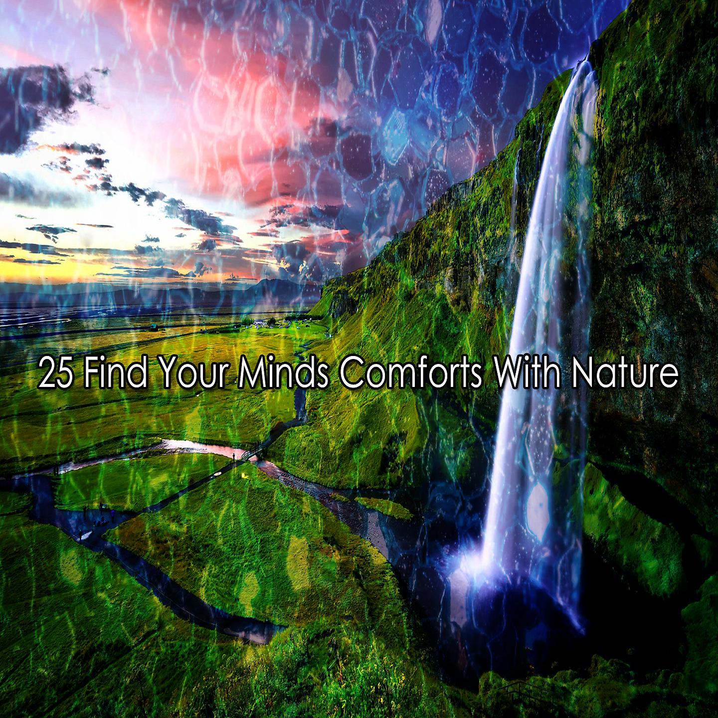 Постер альбома 25 Найдите утешение в природе