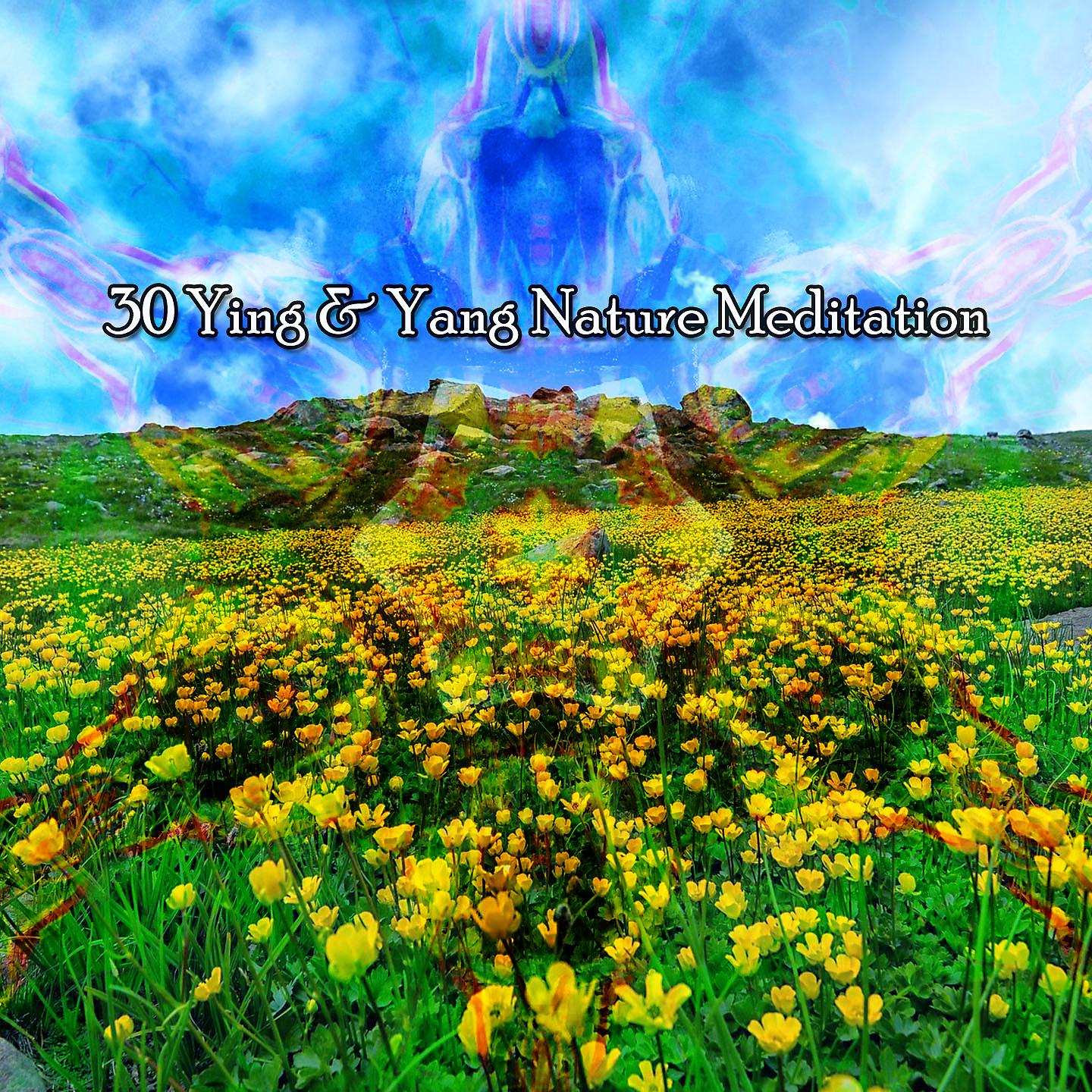Постер альбома 30 Ying & Yang Nature Meditation