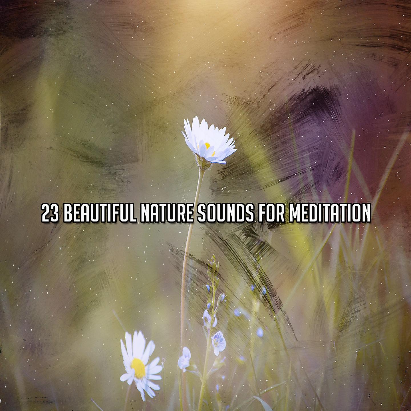Постер альбома 23 красивых звука природы для медитации