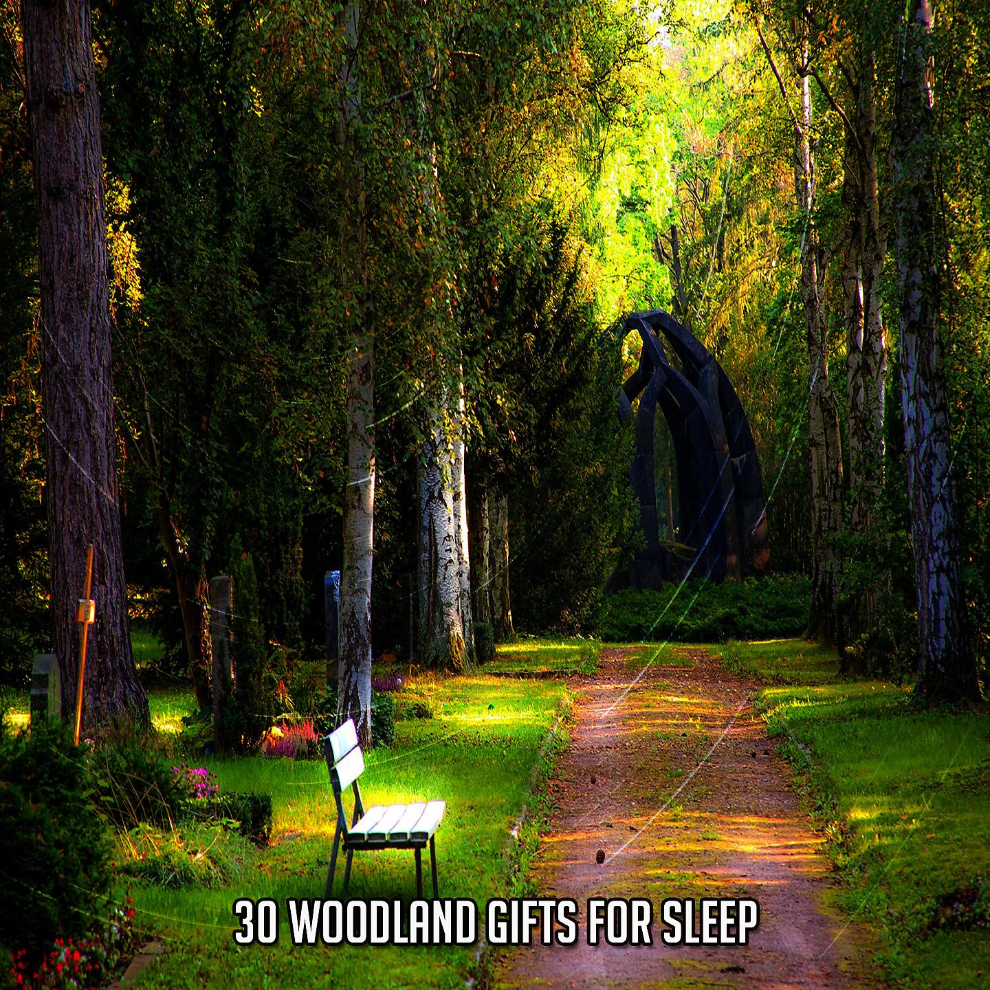 Постер альбома 30 лесных подарков для сна