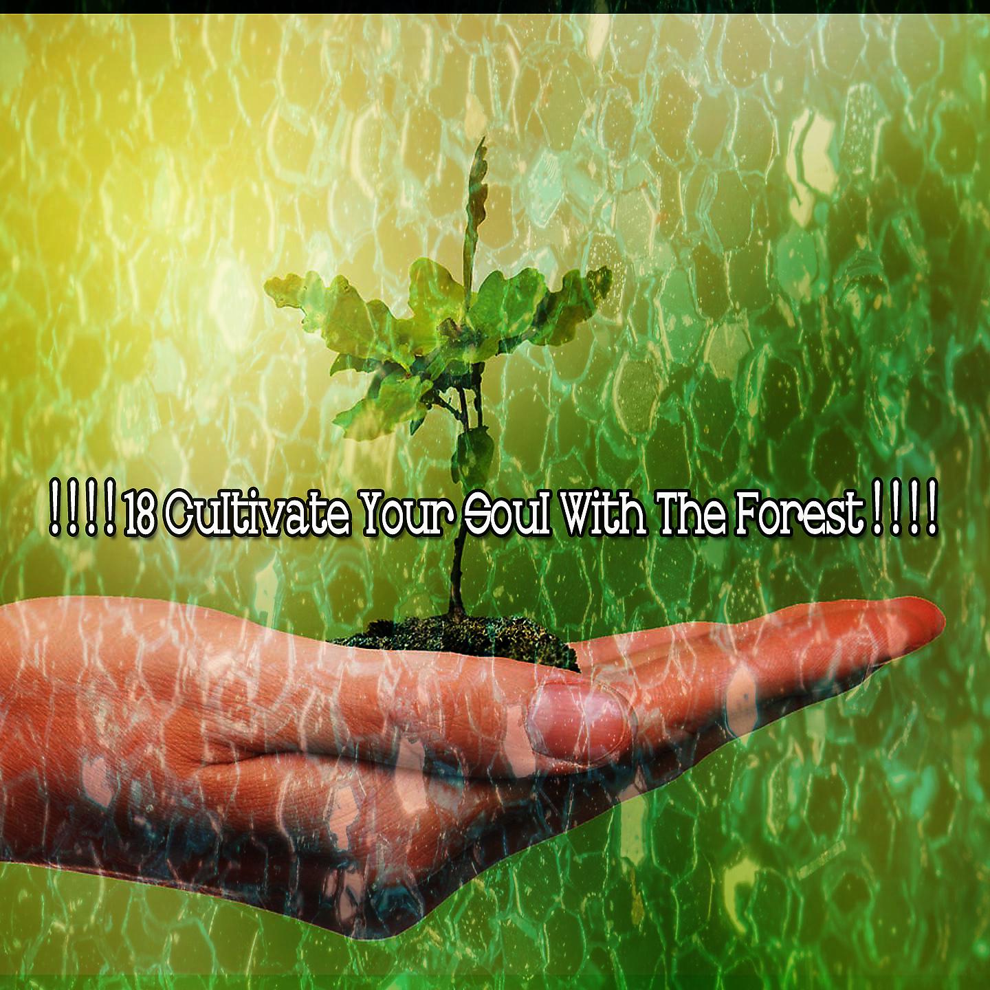 Постер альбома ! ! ! ! 18 Развивайте свою душу вместе с лесом! ! ! !