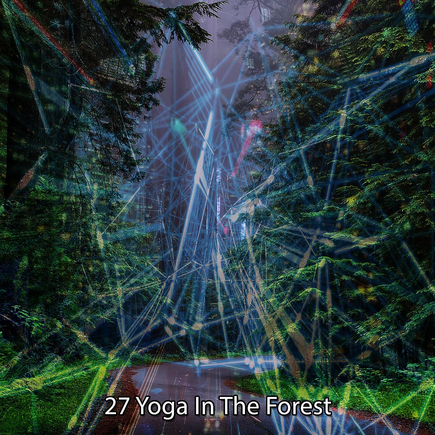 Постер альбома 27 Йога в лесу