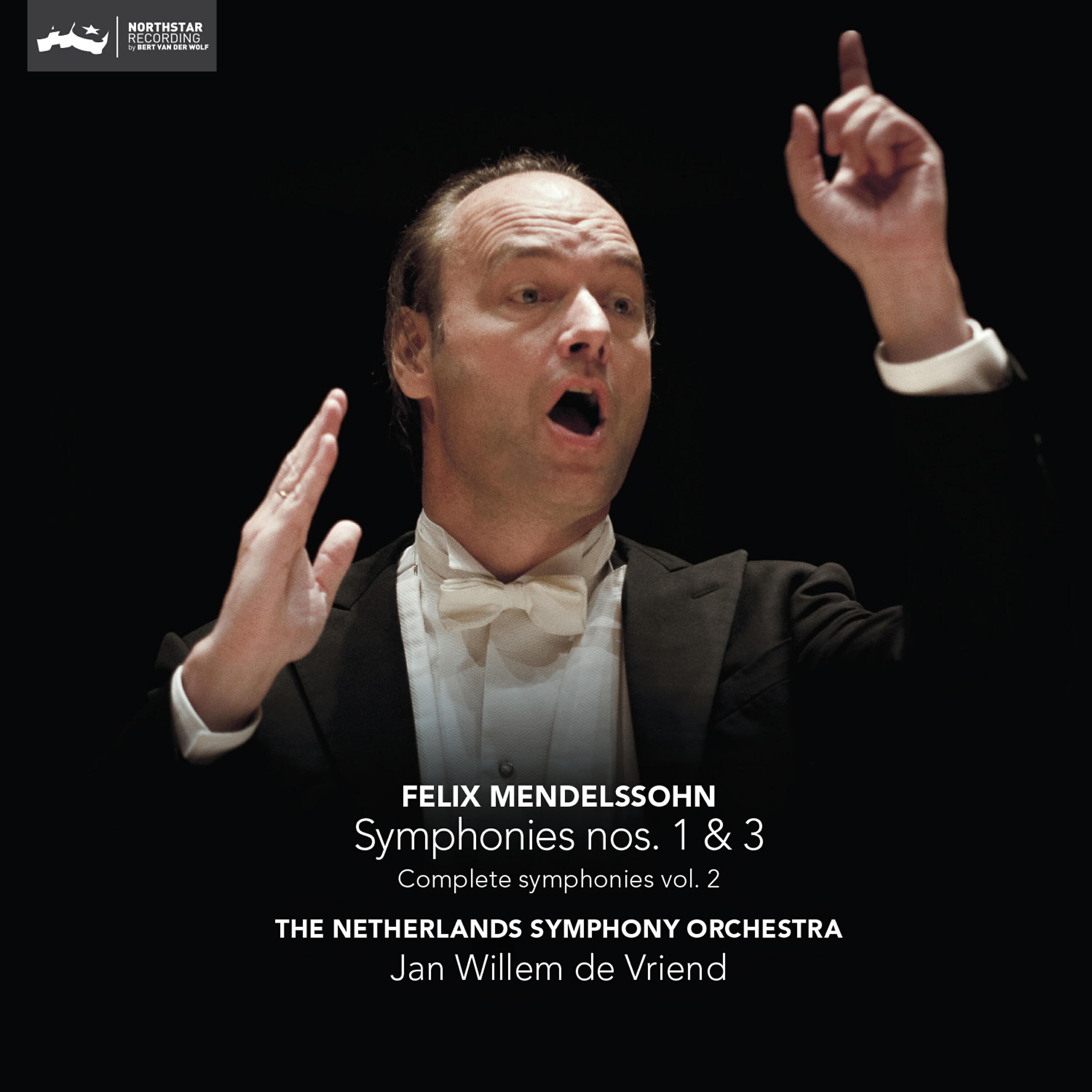 The Netherlands Symphony Orchestra - Symphony No. 1 in C Minor, Op. 11: I. Allegro di molto