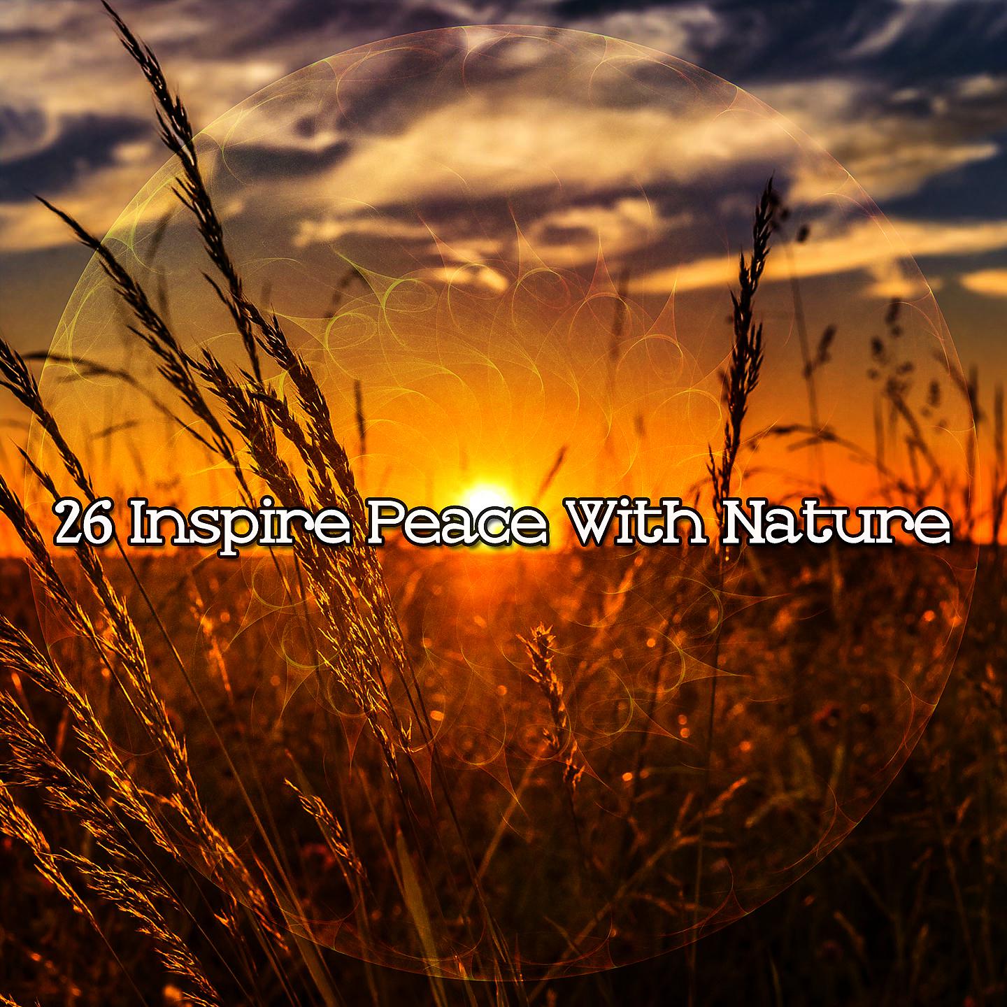 Постер альбома 26 Вдохновляйтесь миром с природой