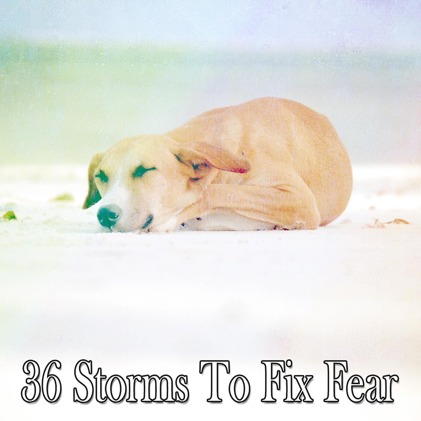 Постер альбома 36 штормов, чтобы избавиться от страха