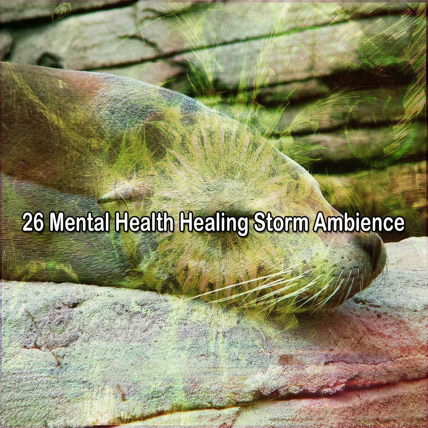 Постер альбома 26 Психическое здоровье Healing Storm Ambience