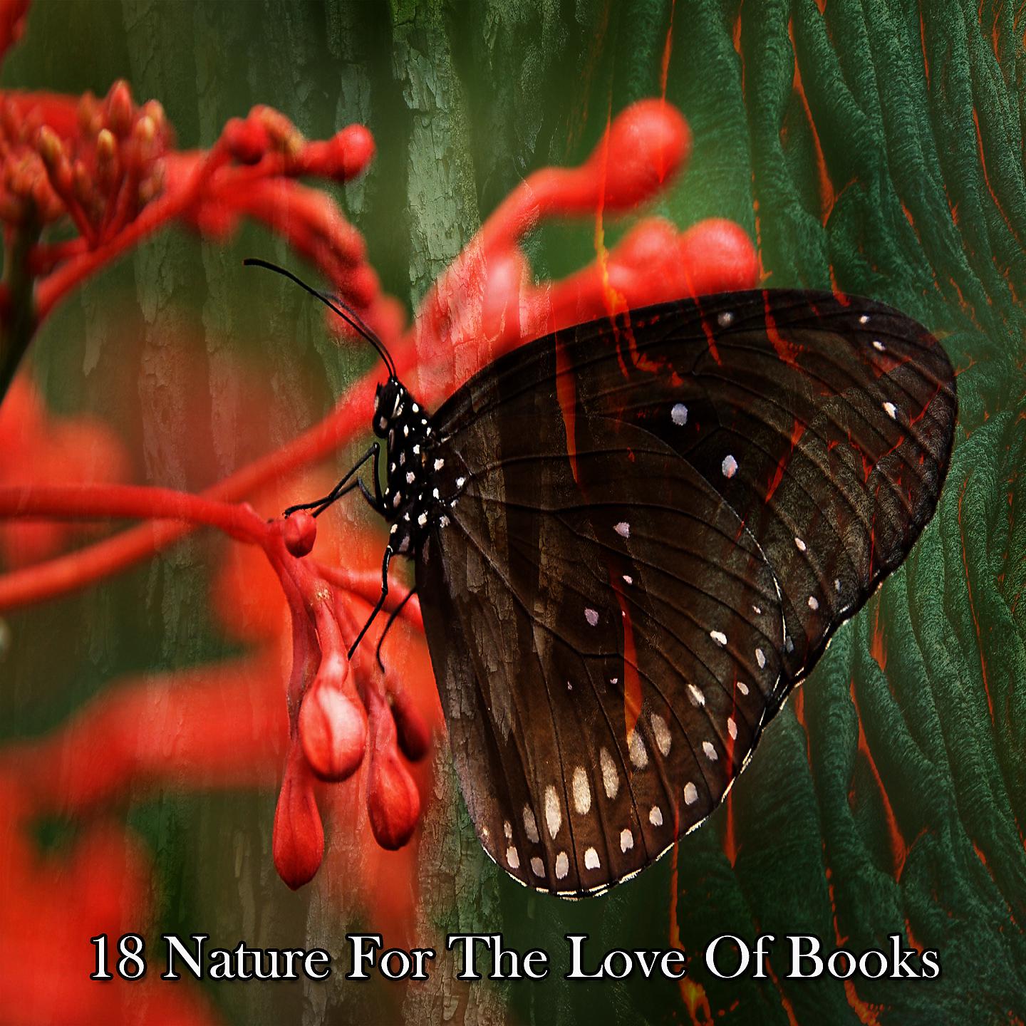 Постер альбома 18 Природа из любви к книгам