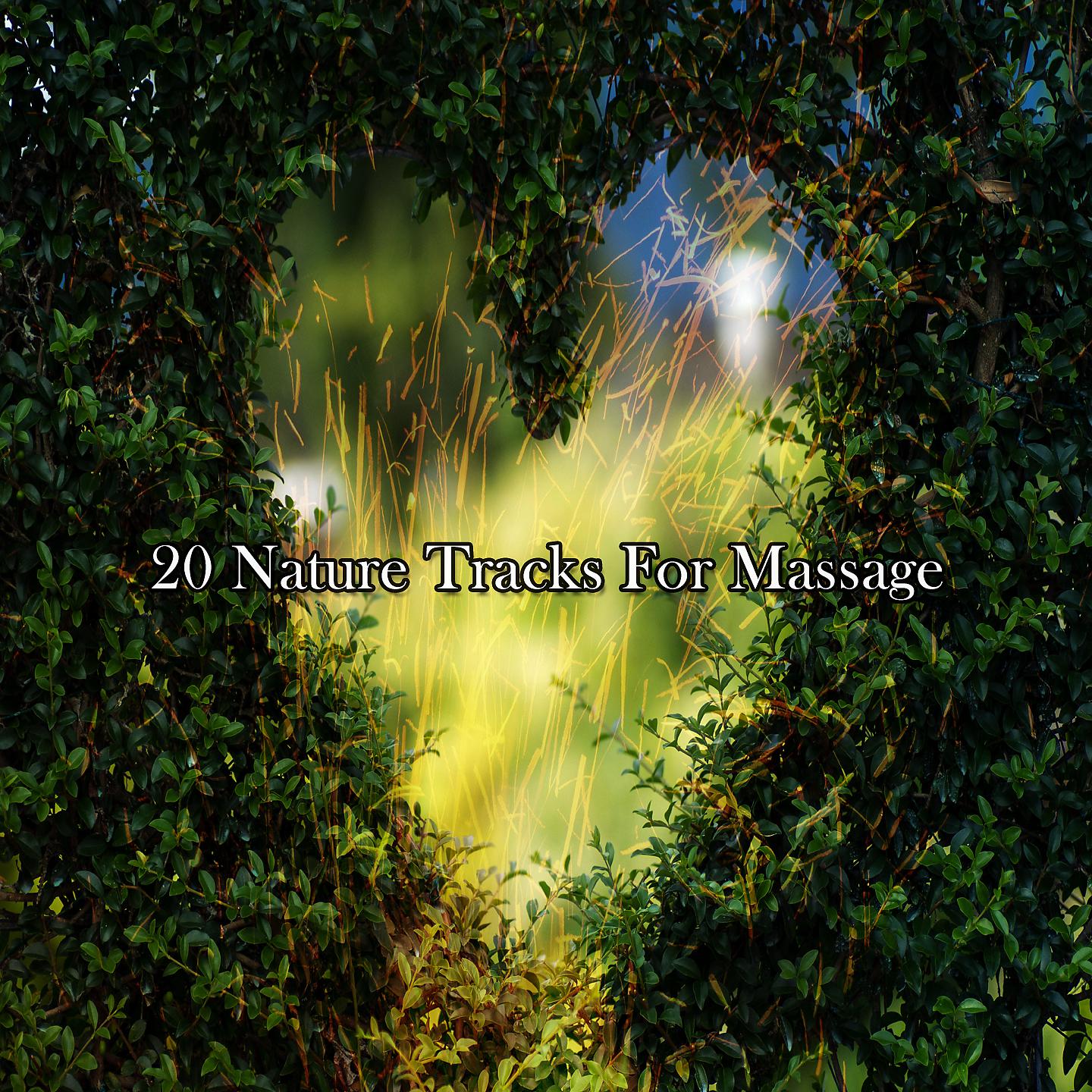 Постер альбома !!!! 20 природных дорожек для массажа !!!!