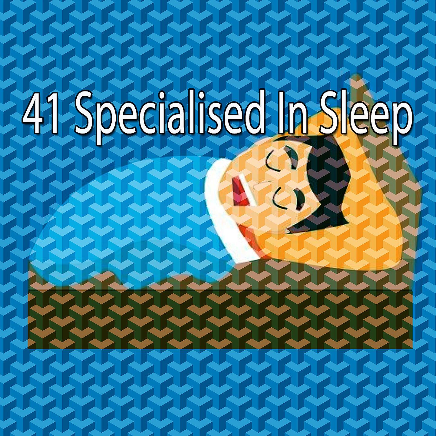 Постер альбома 41 Специализируется на сне