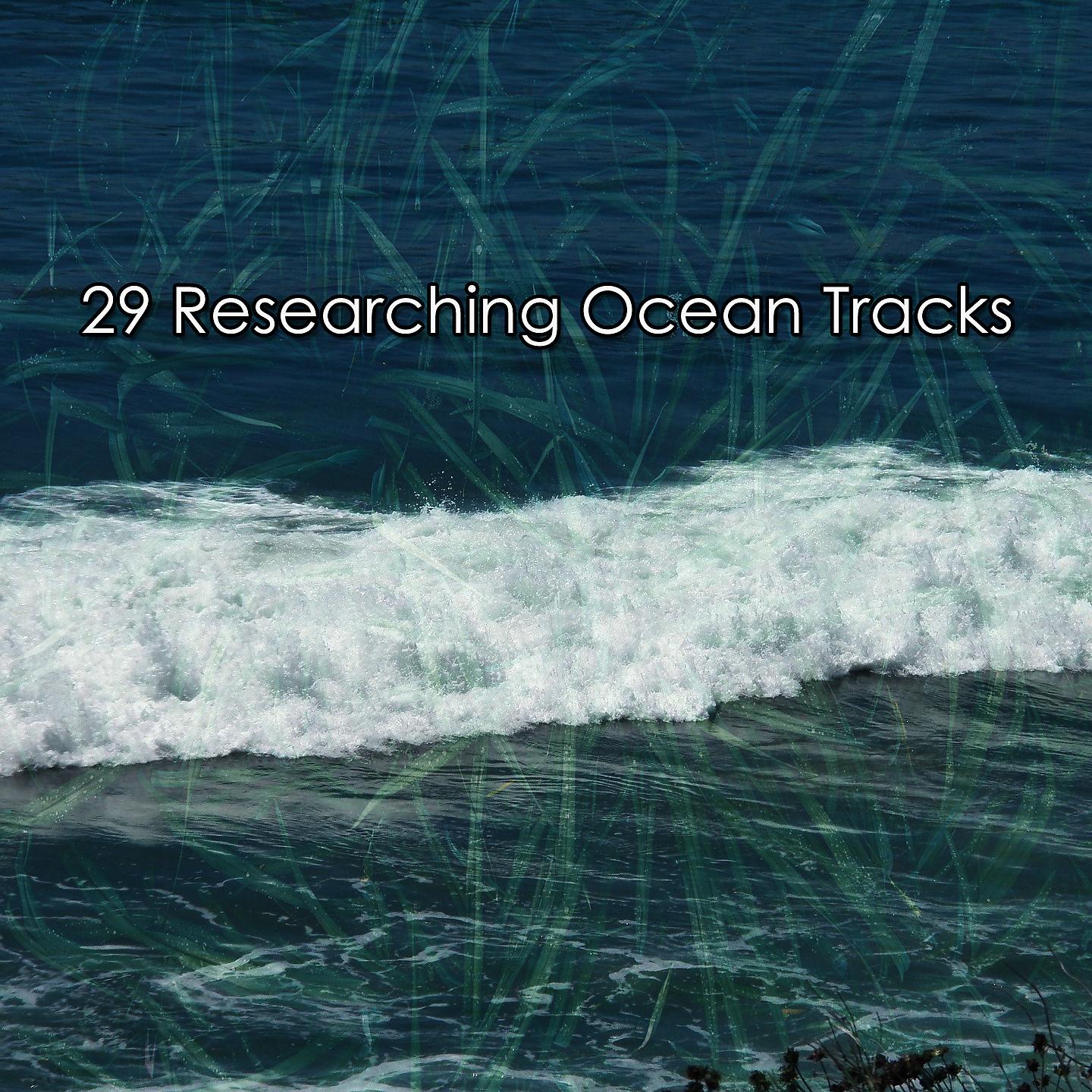 Постер альбома 29. Исследование океанских следов