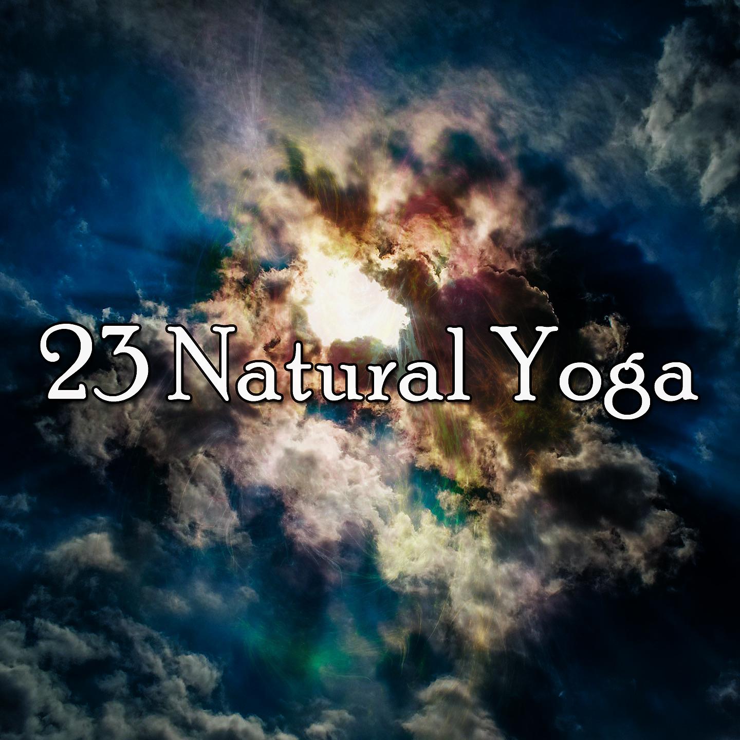 Постер альбома 23 Натуральная йога