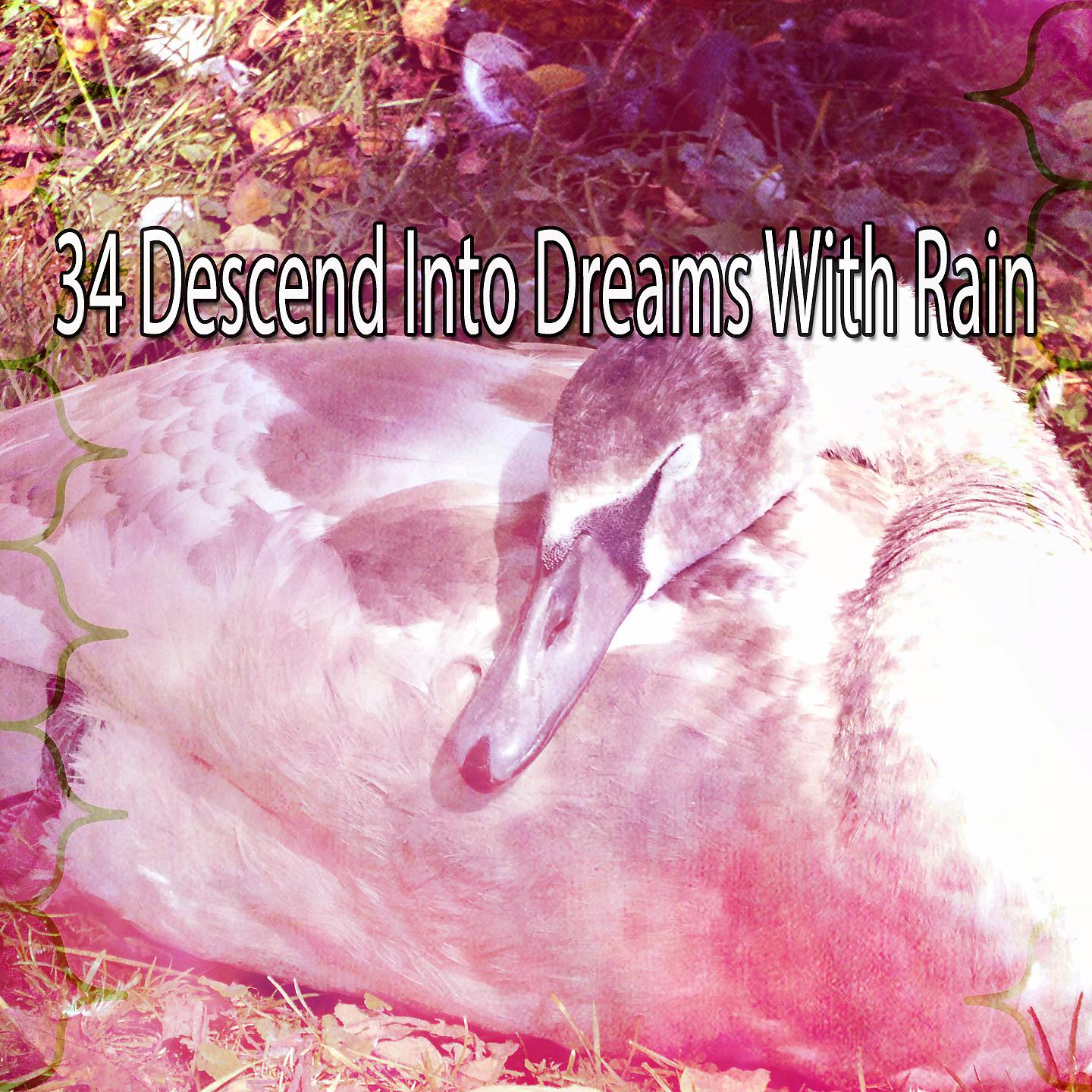 Постер альбома 34 Сойти в мечты с дождем