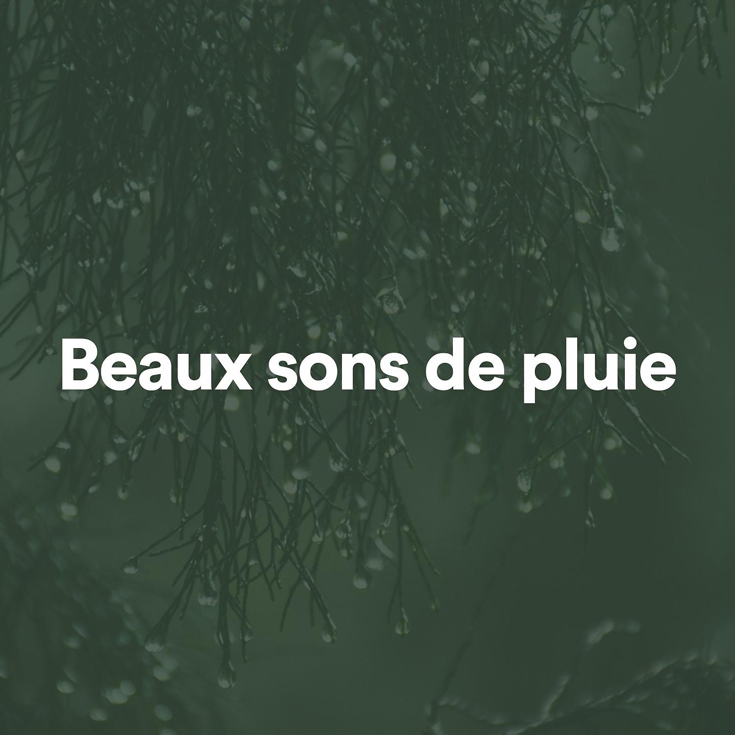 Постер альбома Beaux sons de pluie