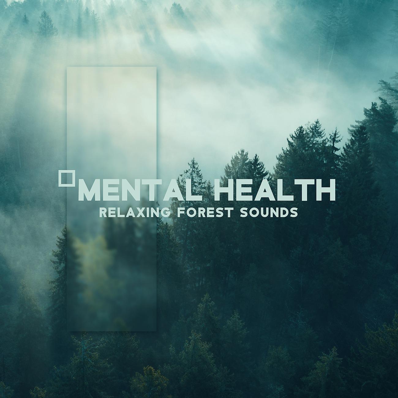 Постер альбома Mental Health