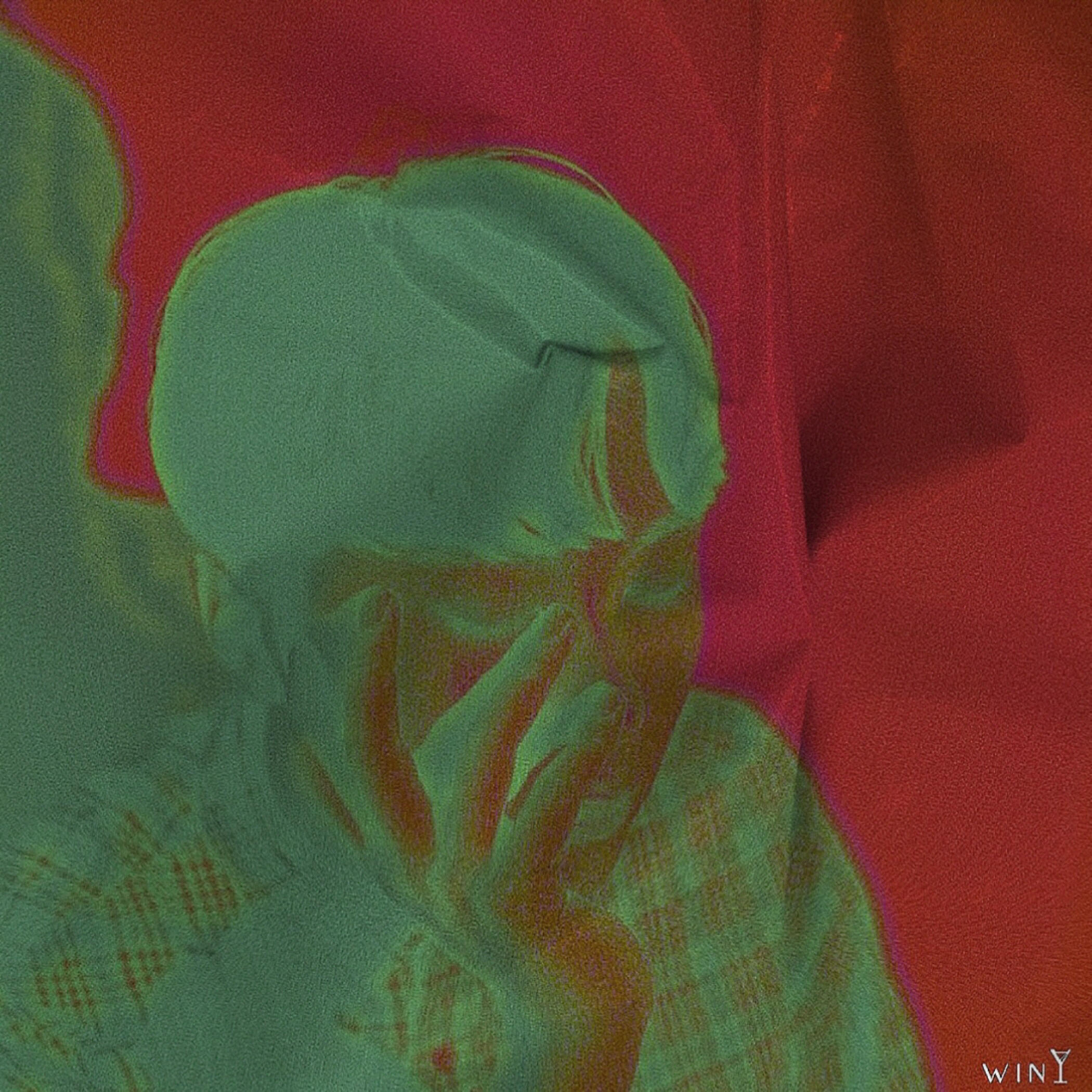 D.PLUM - Maze Runner