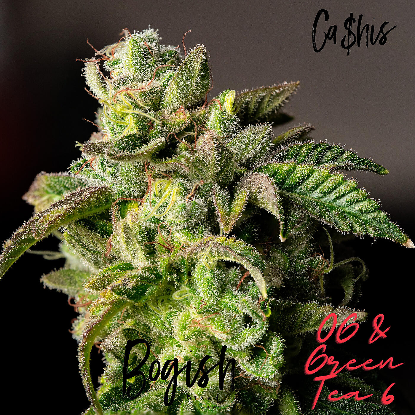 Ca$His - All Gaz No Brakez