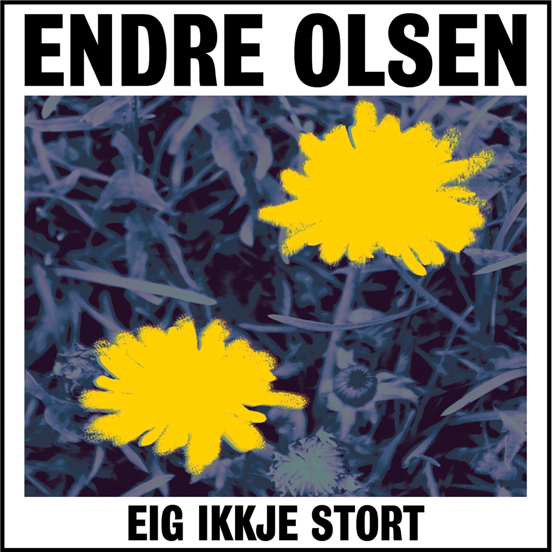 Endre Olsen - Eig ikkje stort (feat. Mari Kvien Brunvoll)