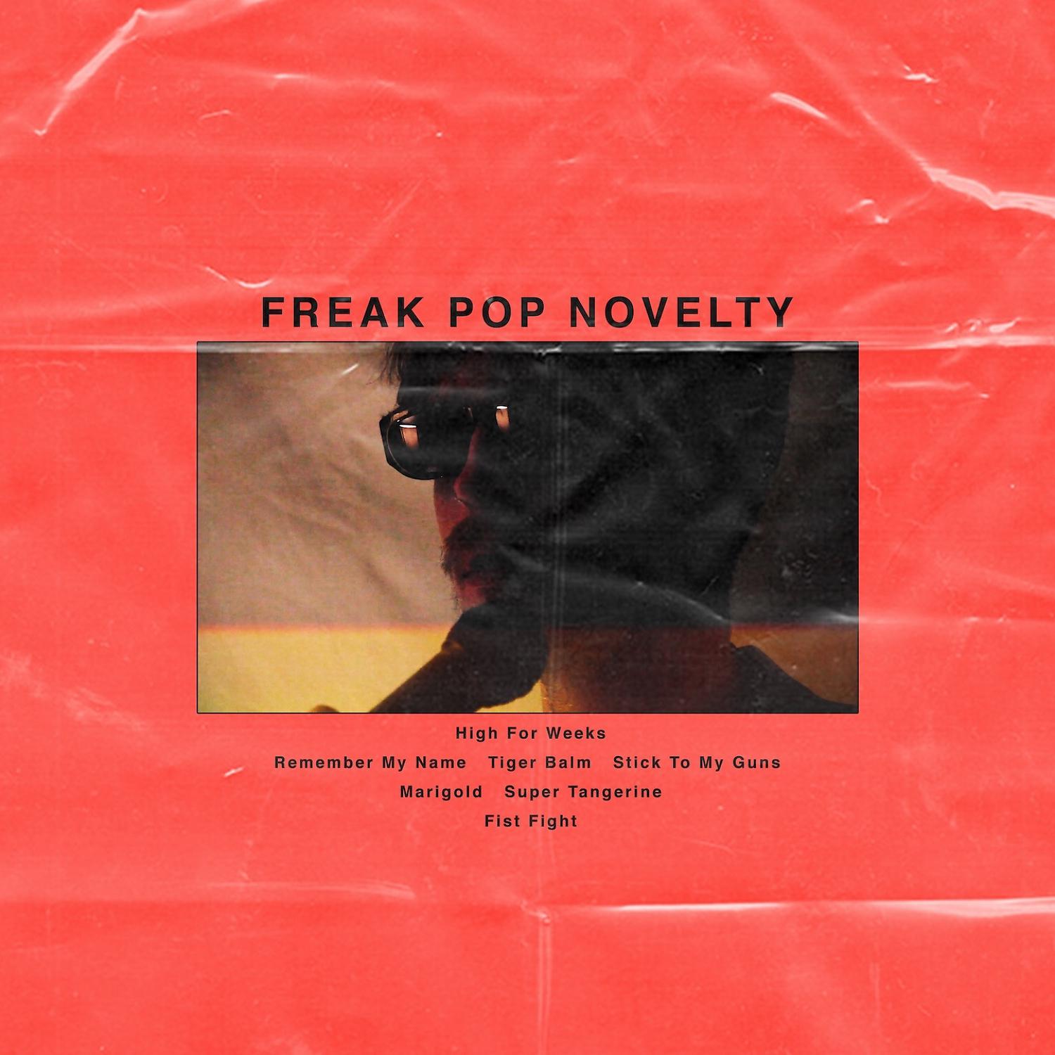 Постер альбома Freak Pop Novelty