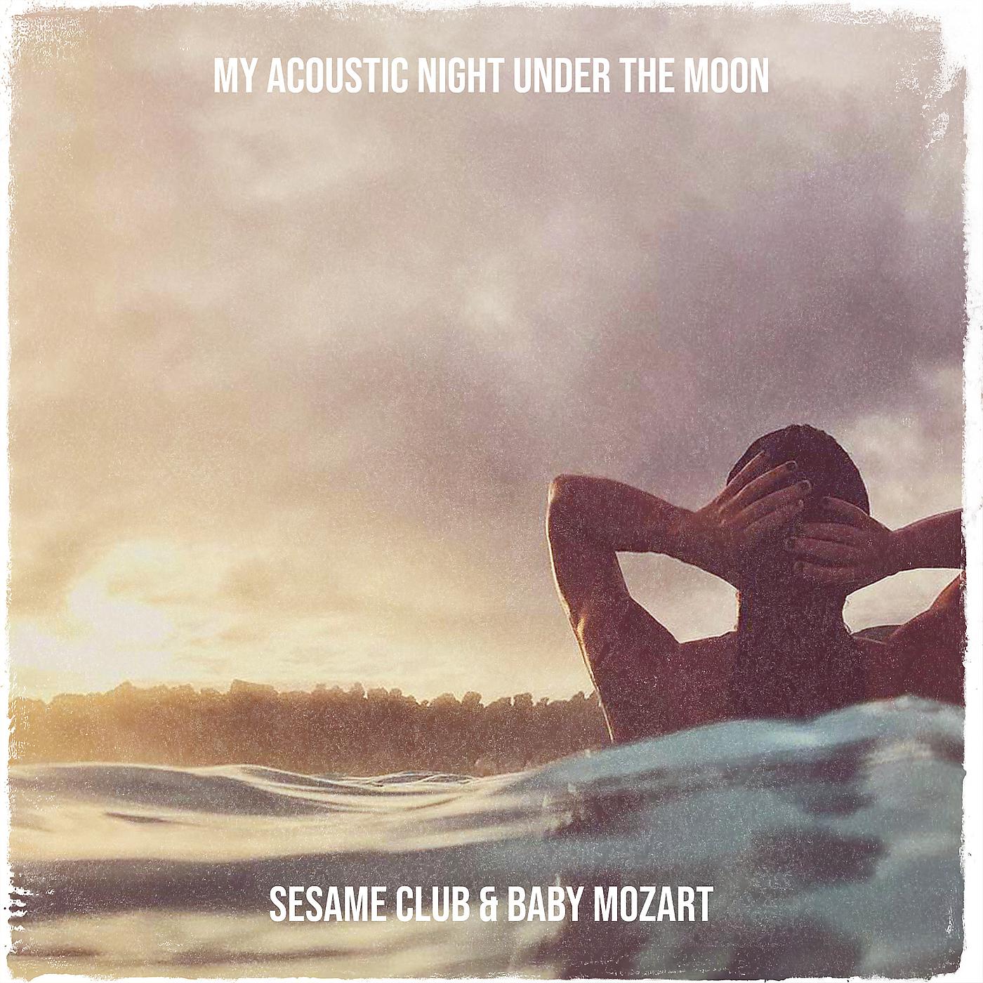 Постер альбома My Acoustic Night Under the Moon