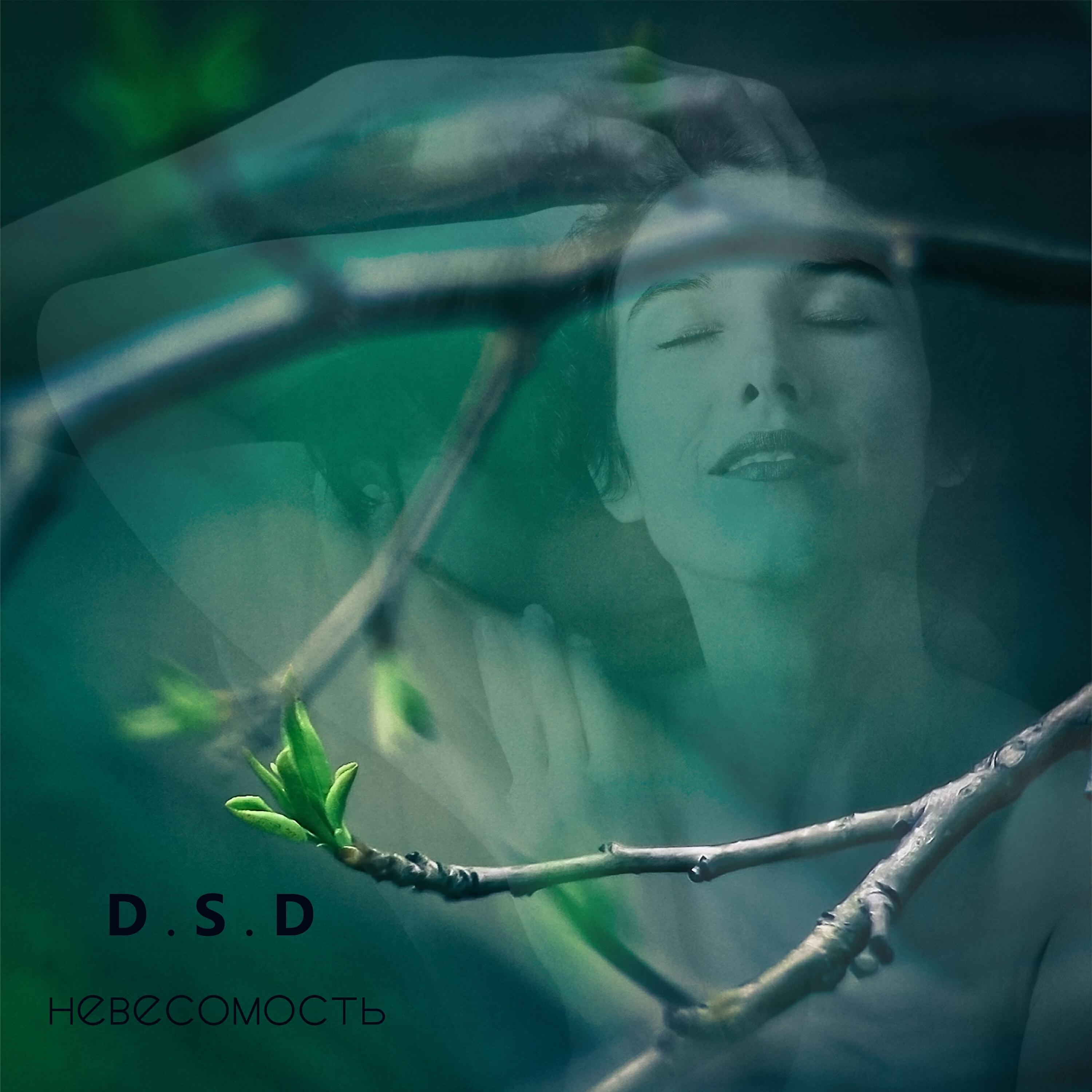 D.S.D. - Ну и что