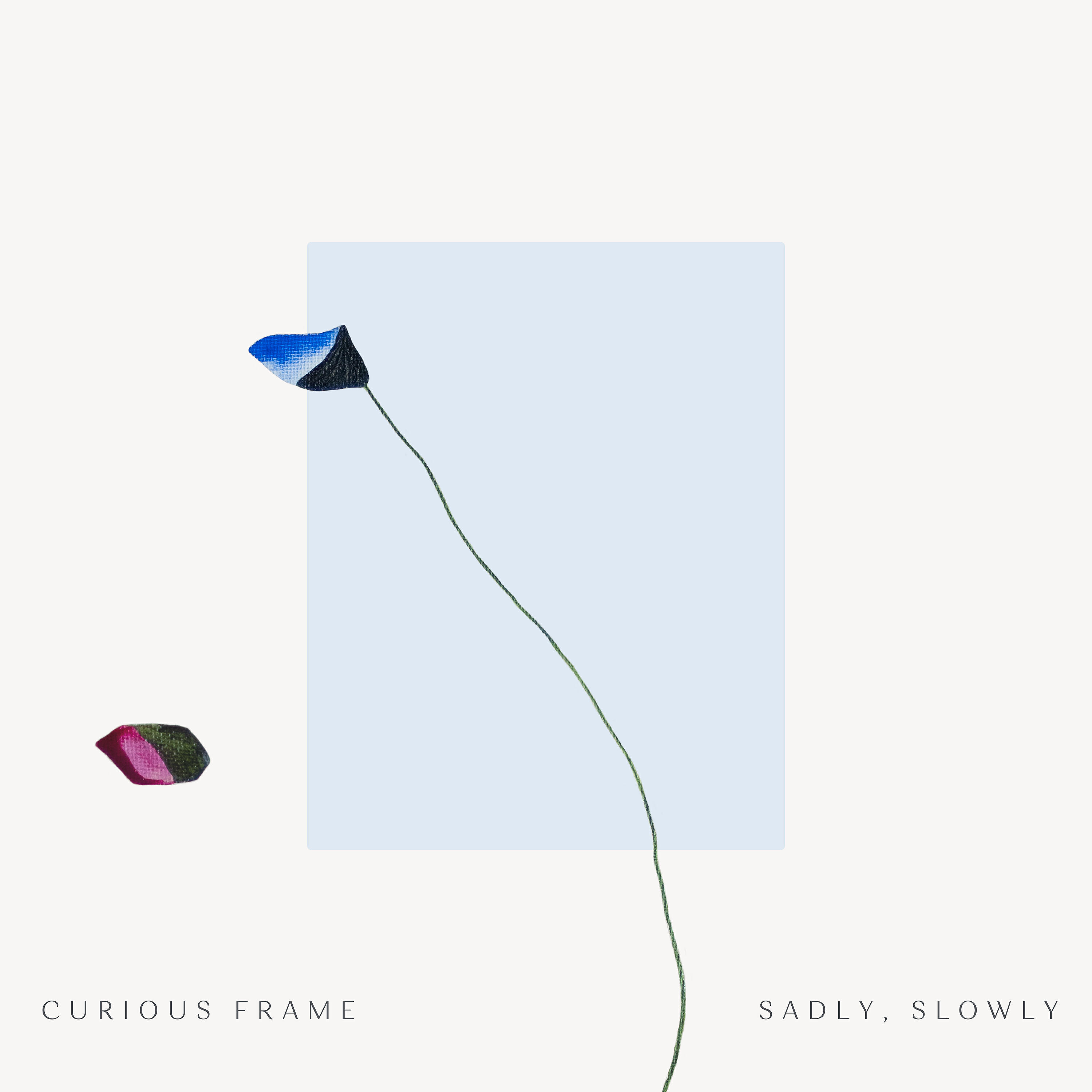 Spencer Zahn - Curious Frame