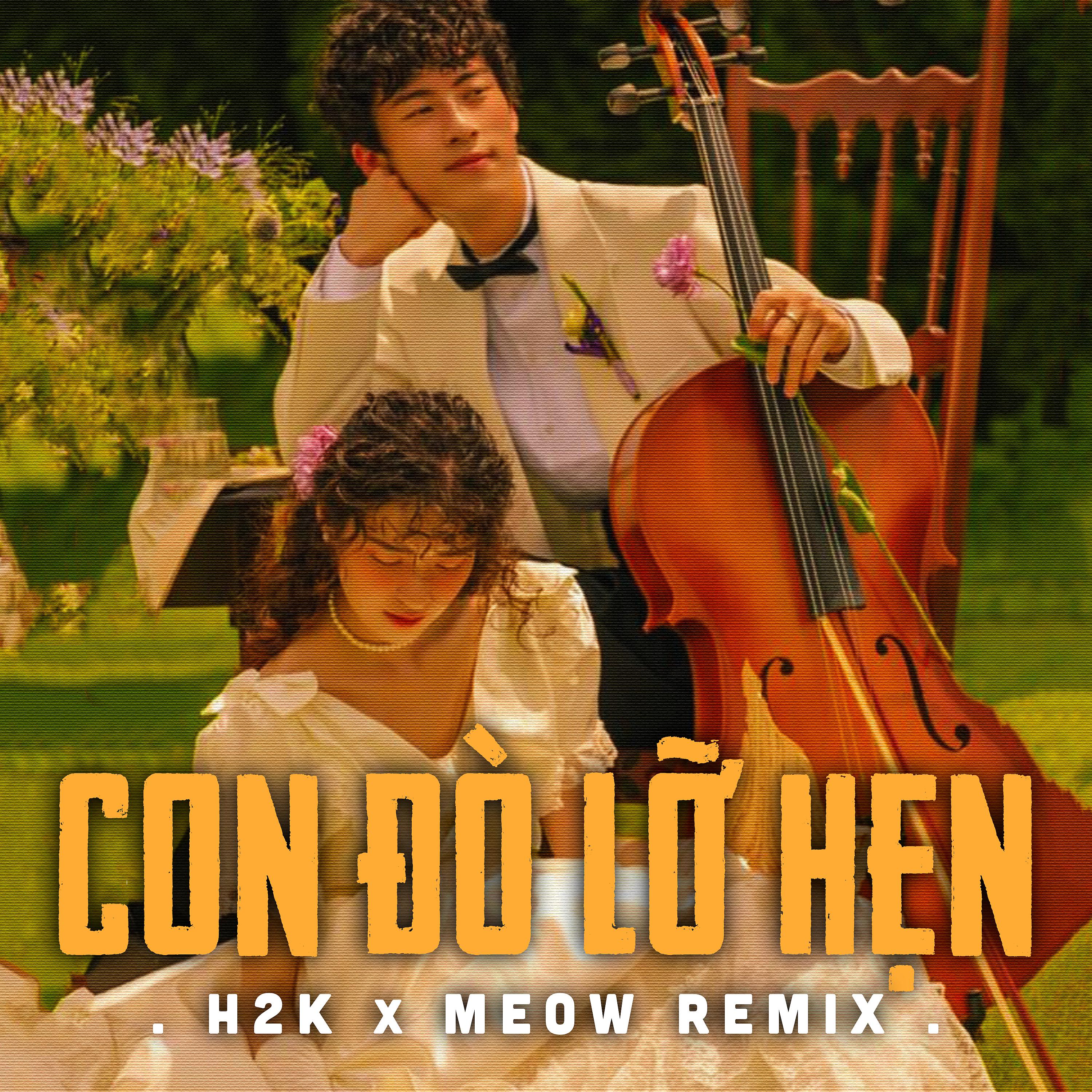 Постер альбома Con Đò Lỡ Hẹn (MEOW Remix)
