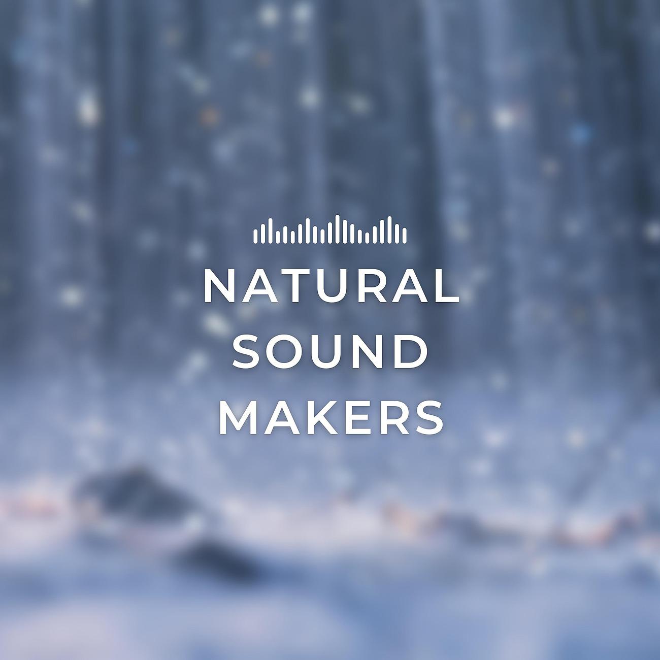 Постер альбома Natural Sound Makers