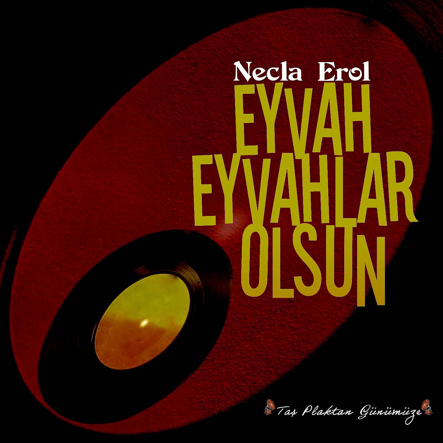 Постер альбома Eyvah Eyvahlar Olsun