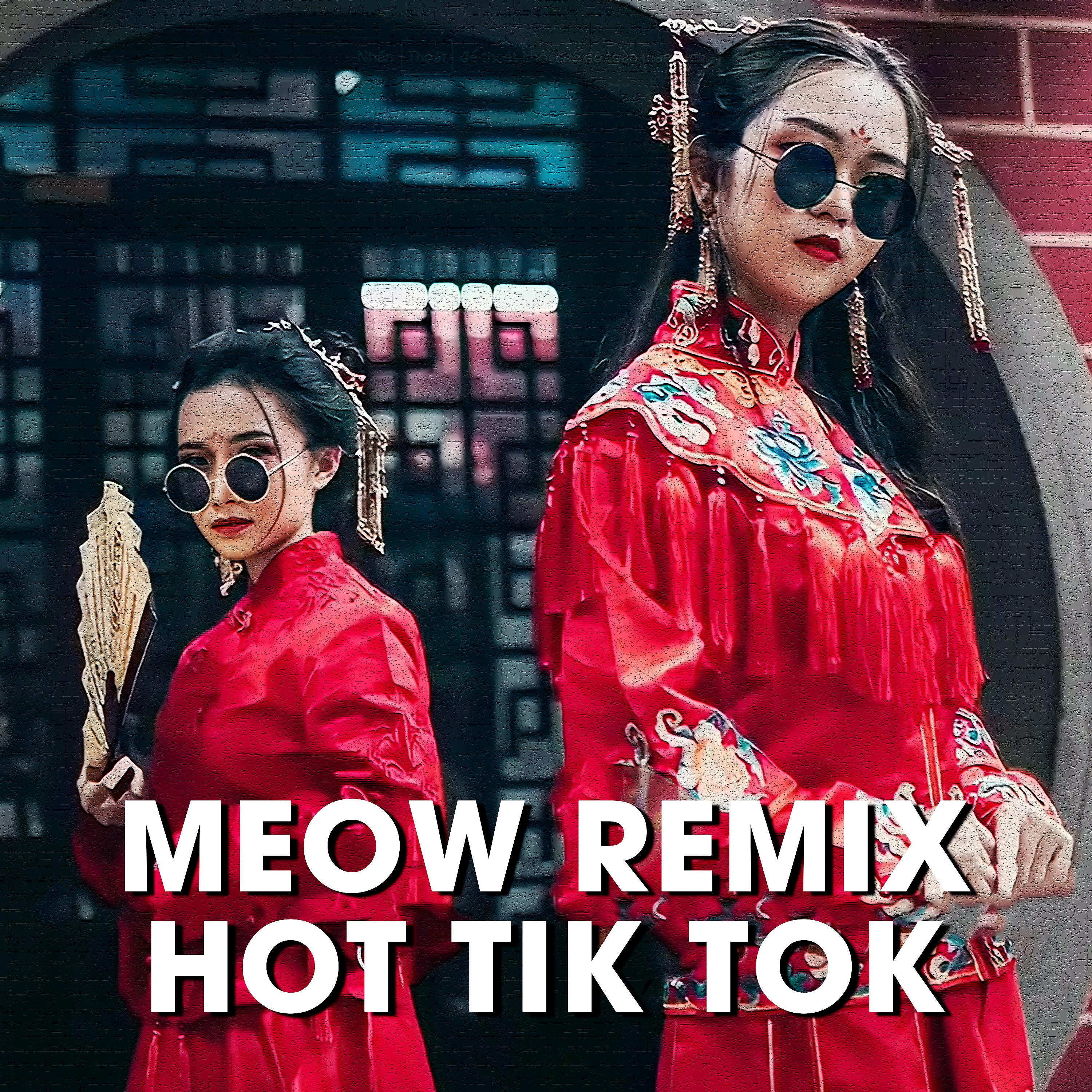 Постер альбома MEOW Bolero Remix Hot Tik Tok