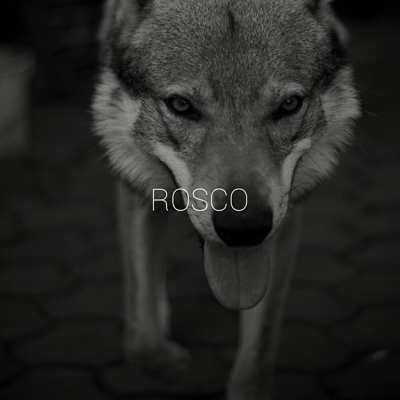 Poetics - ROSCO