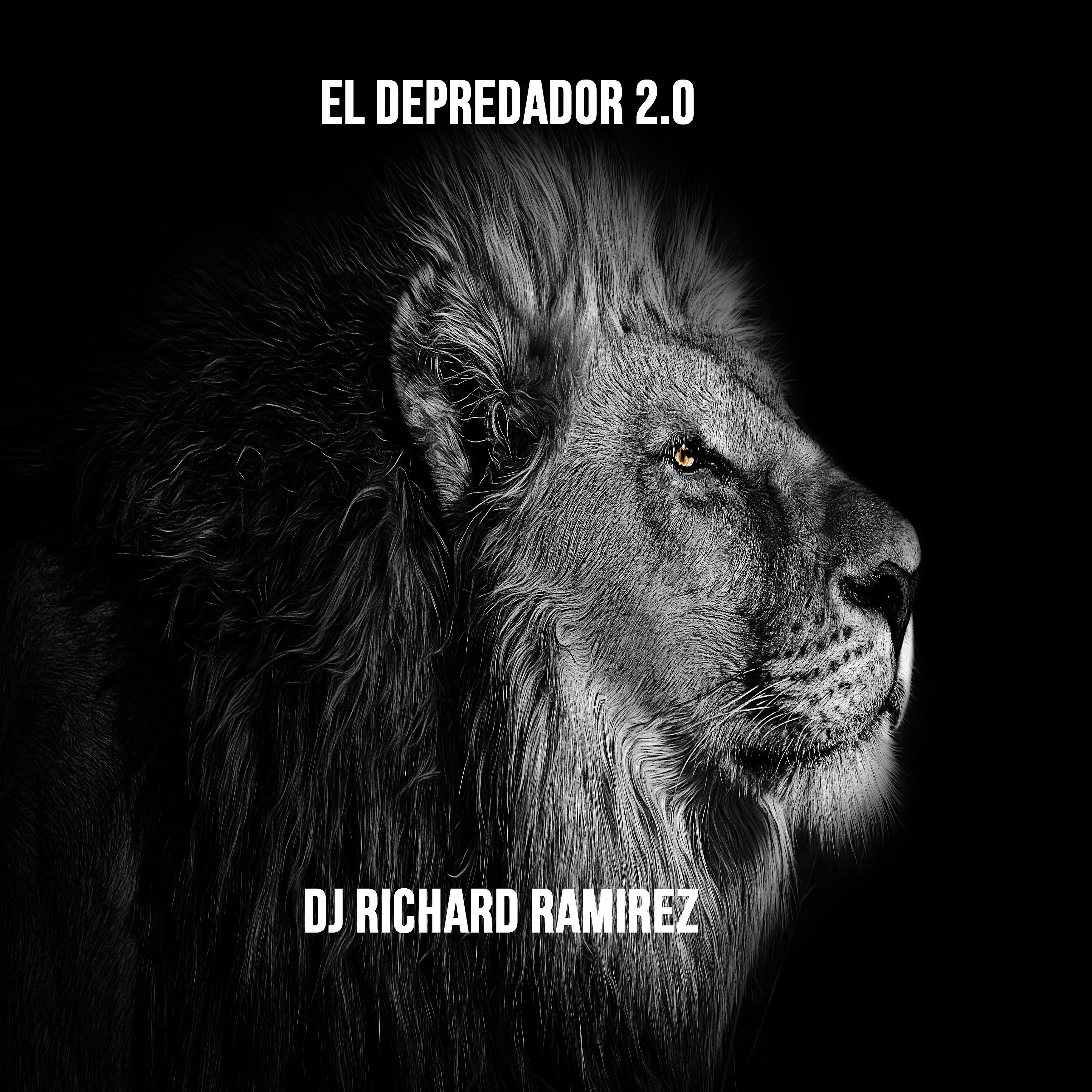 DJ Richard Ramirez - Probar Tus Besos