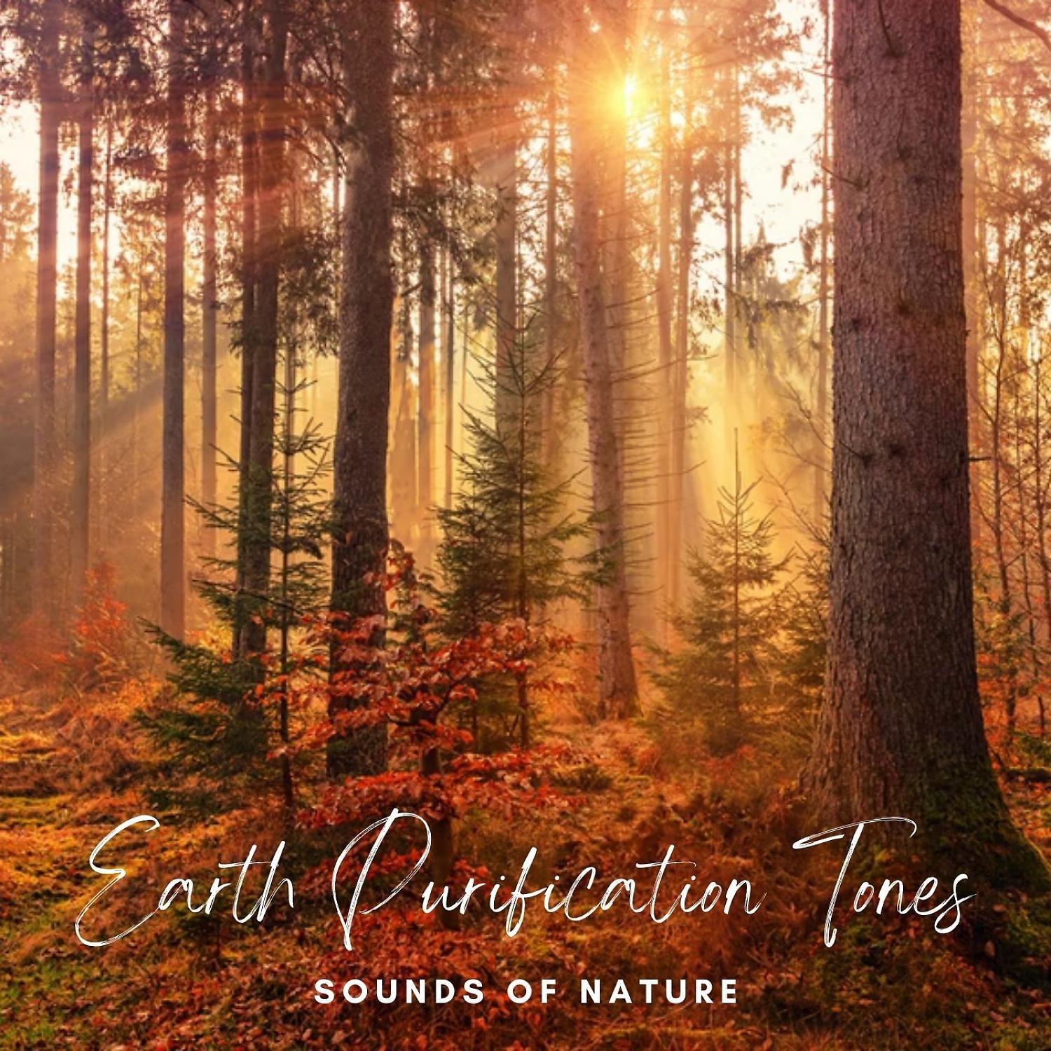 Постер альбома Sounds of Nature: Earth Purification Tones