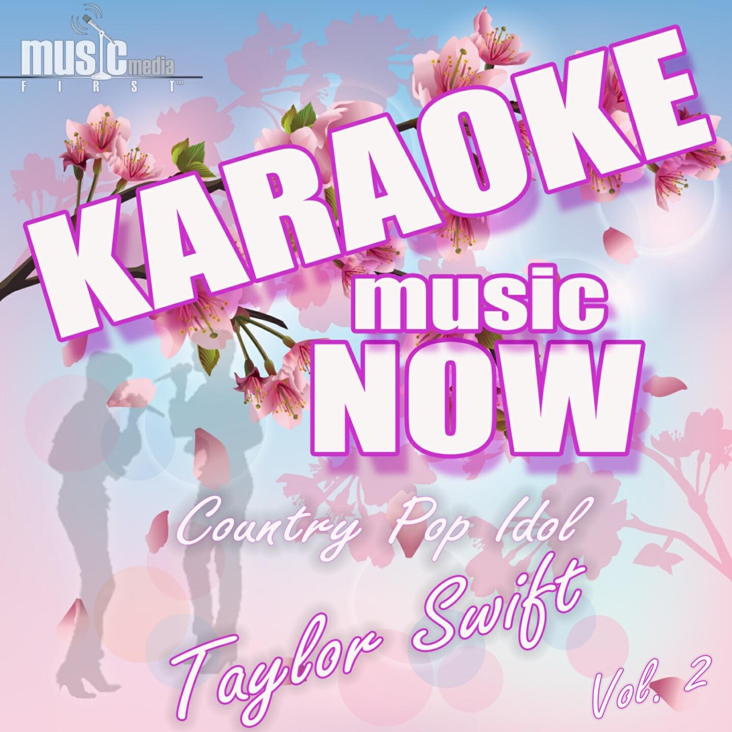 The Tribute Beat - You're Not Sorry (Karaoke Version) (Originally Performed By Taylor Swift)