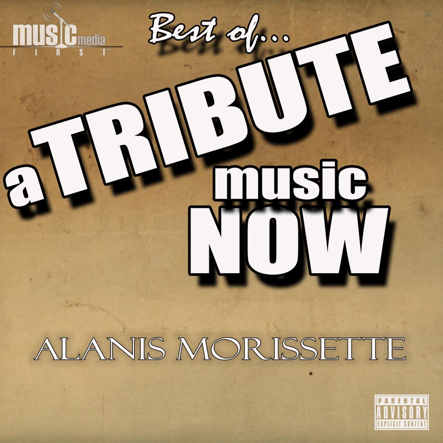 Постер альбома A Tribute Music Now: Best Of... Alanis Morissette