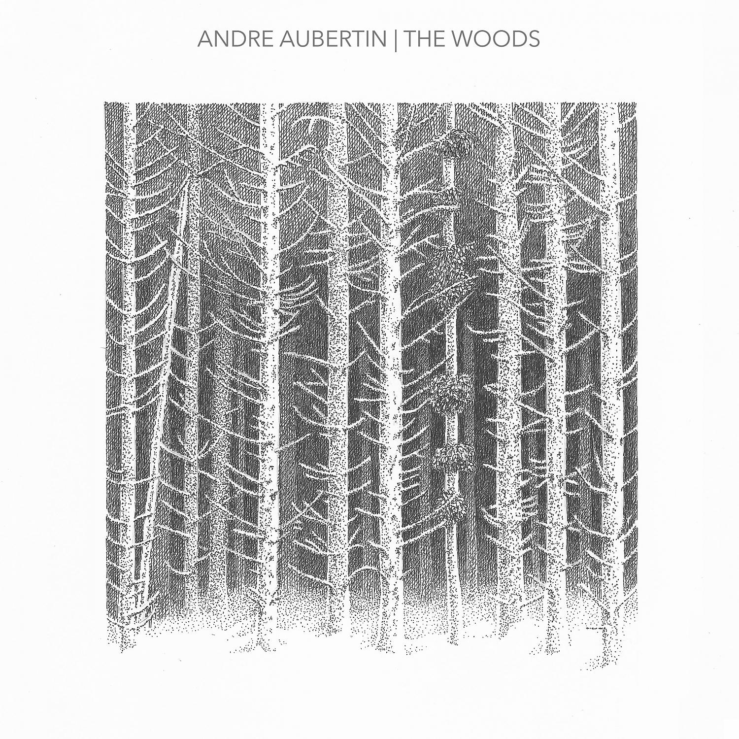 Постер альбома The Woods