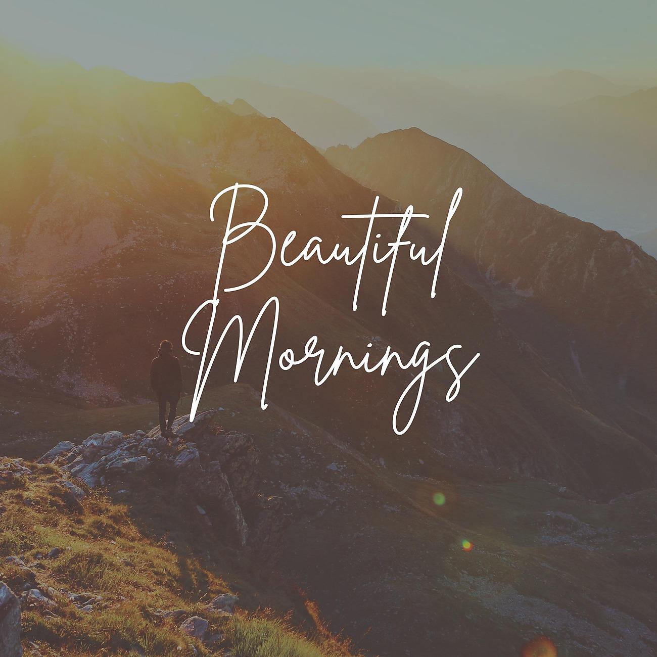 Постер альбома Beautiful Mornings